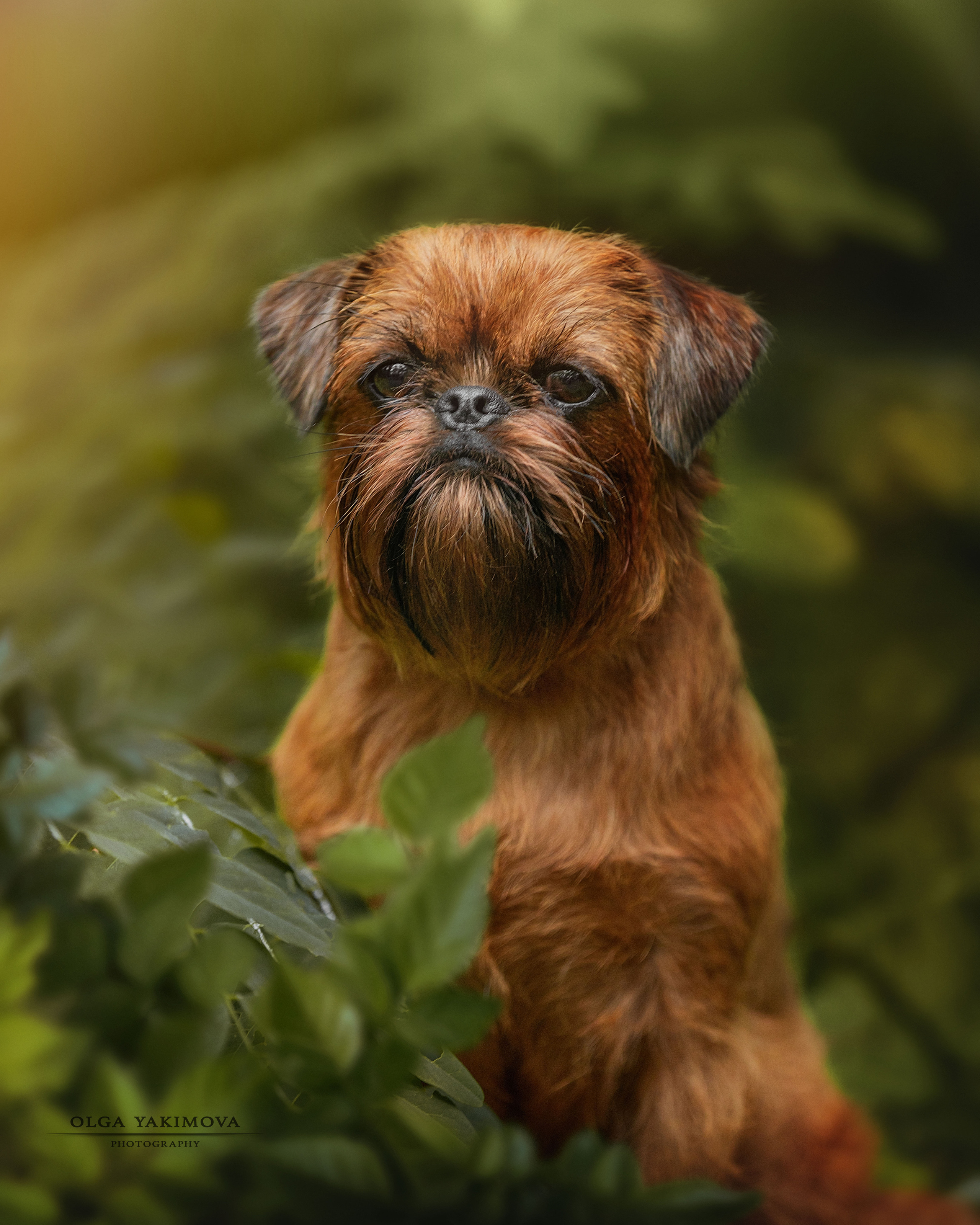 Экстерьер. Фотограф