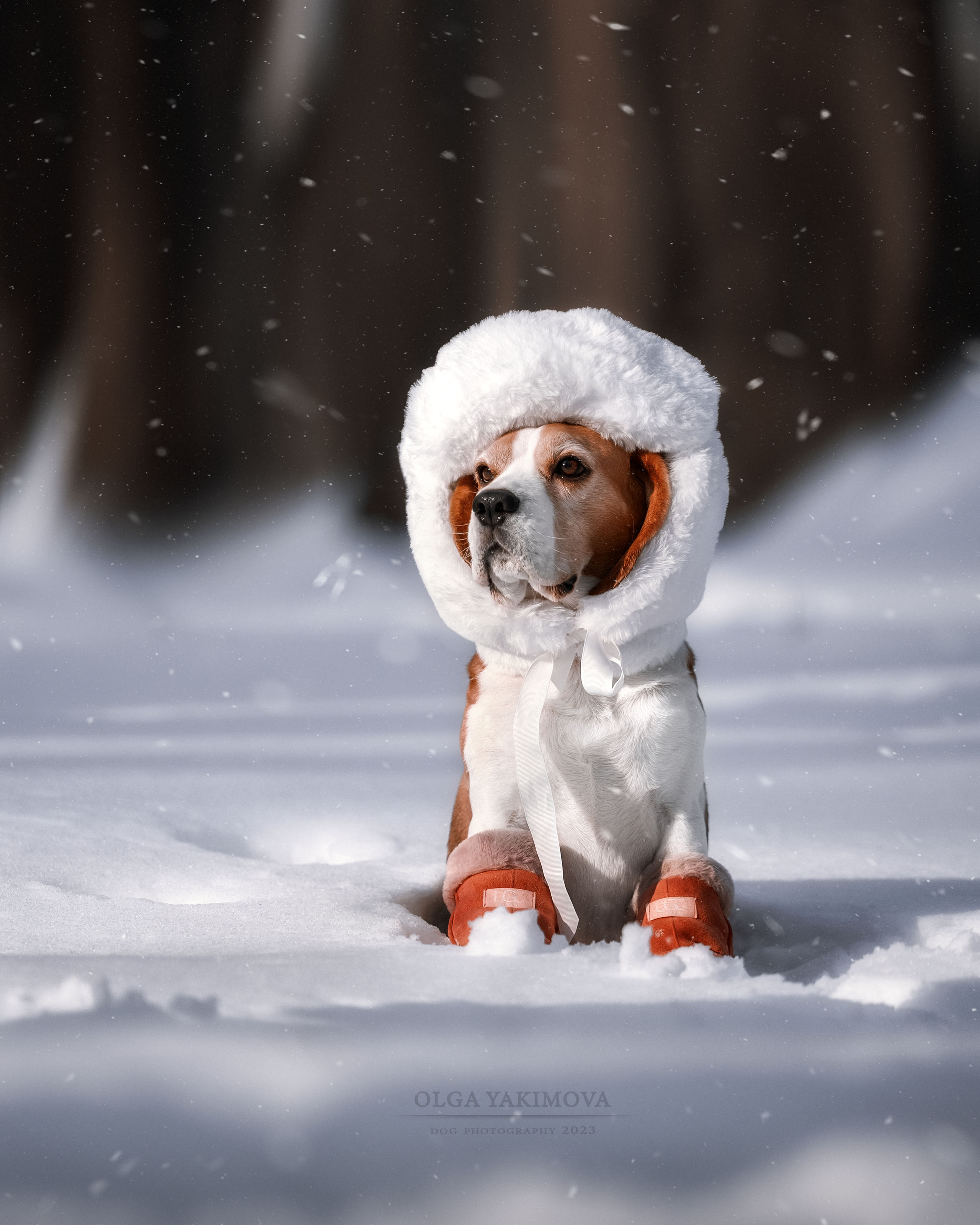 Анна. Фотограф