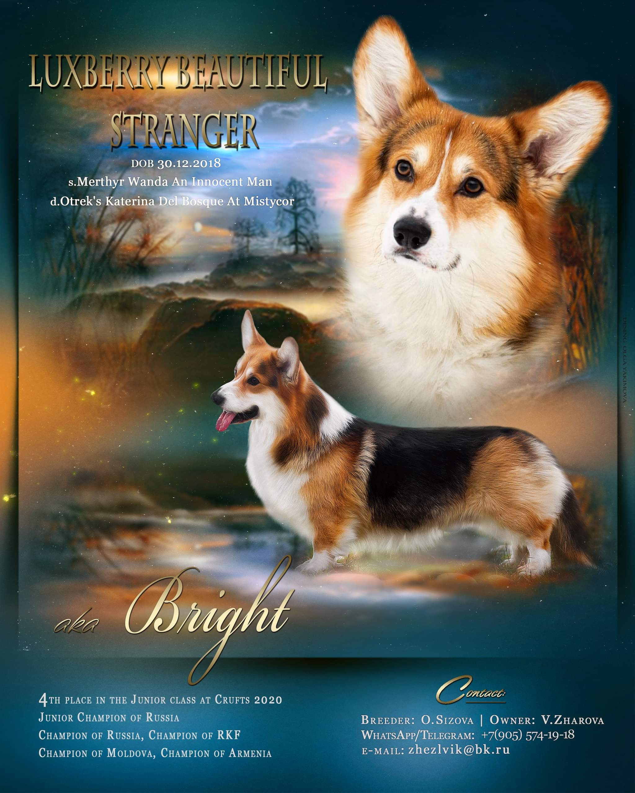 Animal presentation. Фотограф