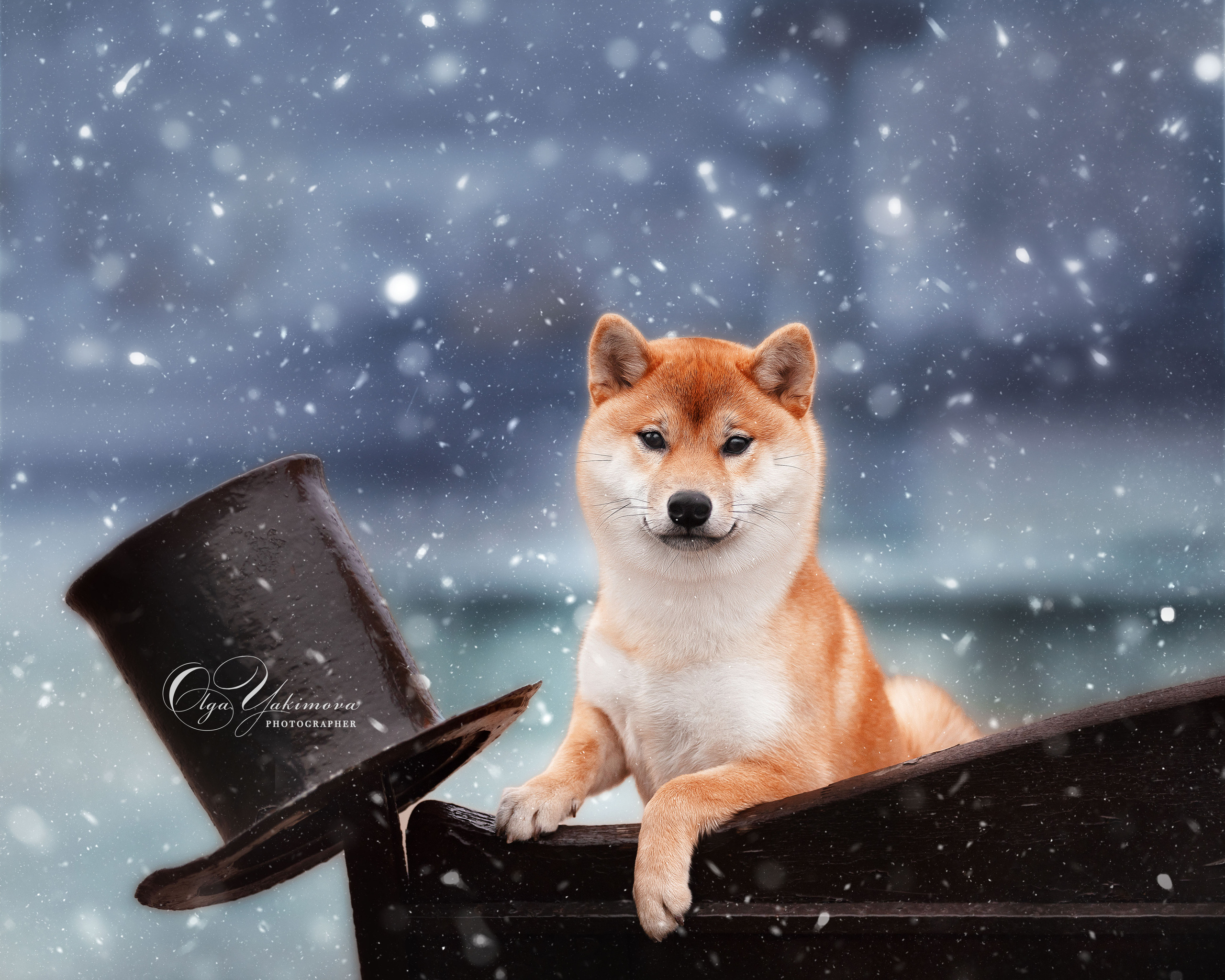 Экстерьер. Фотограф