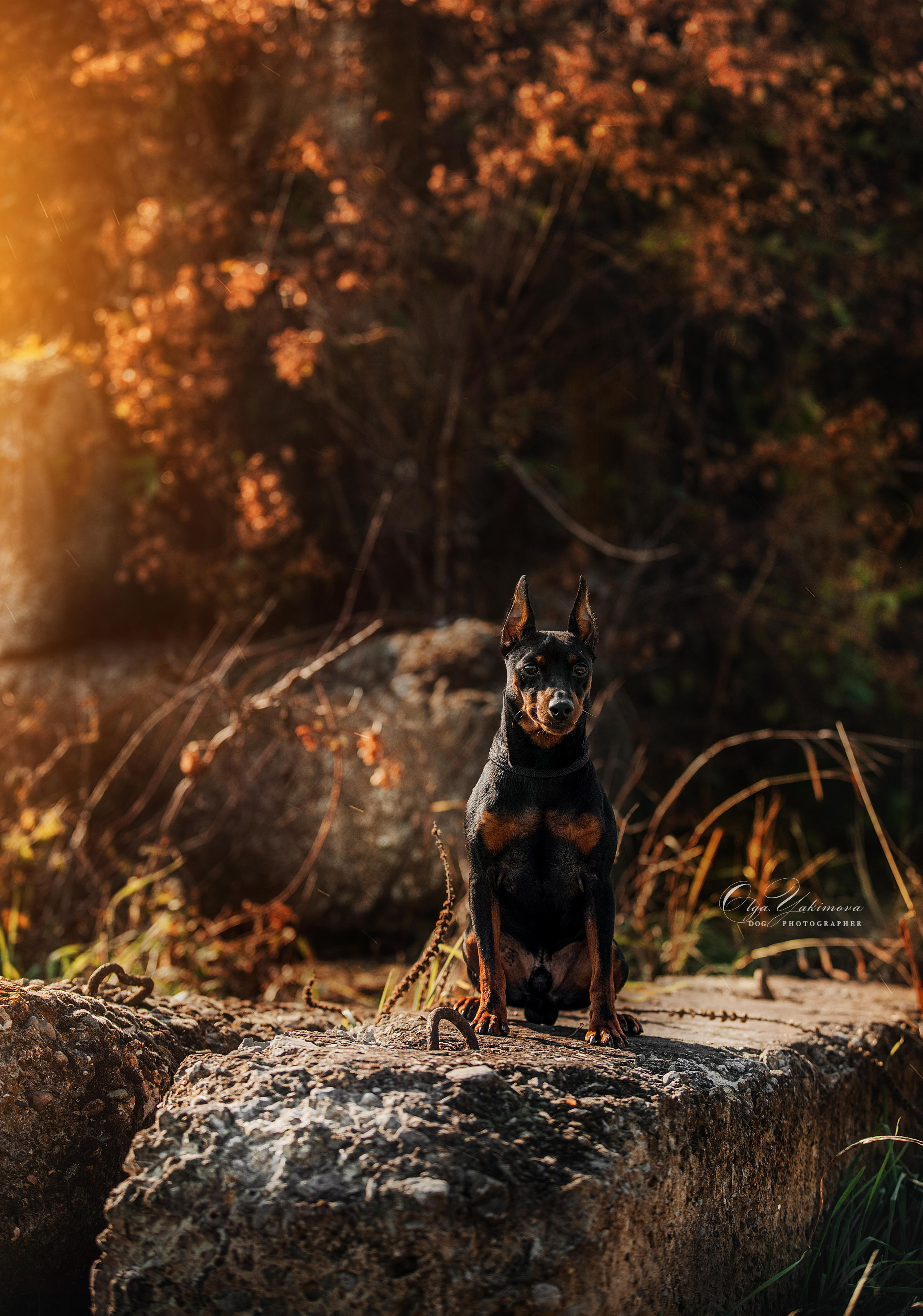 Экстерьер. Фотограф