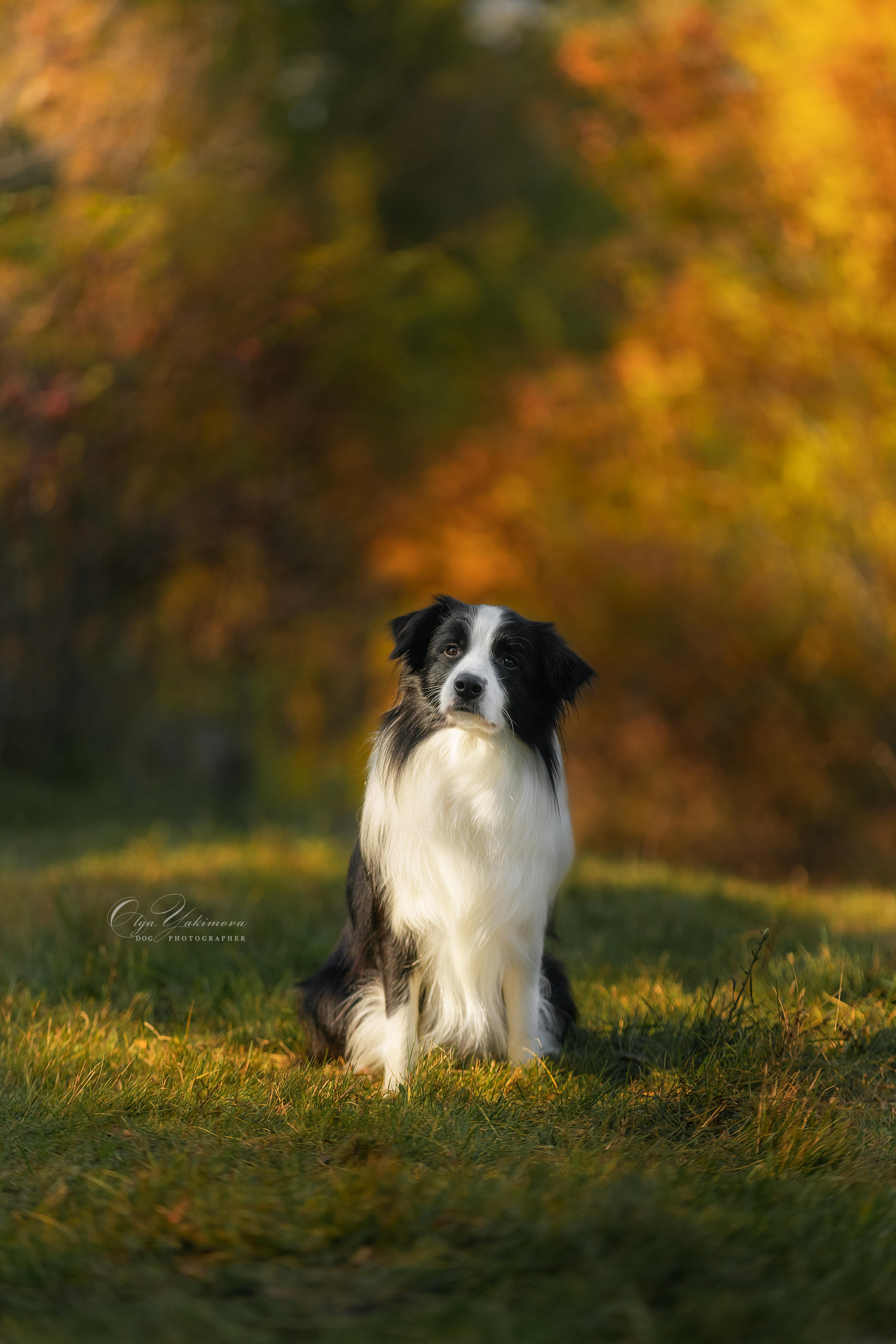 Экстерьер. Фотограф