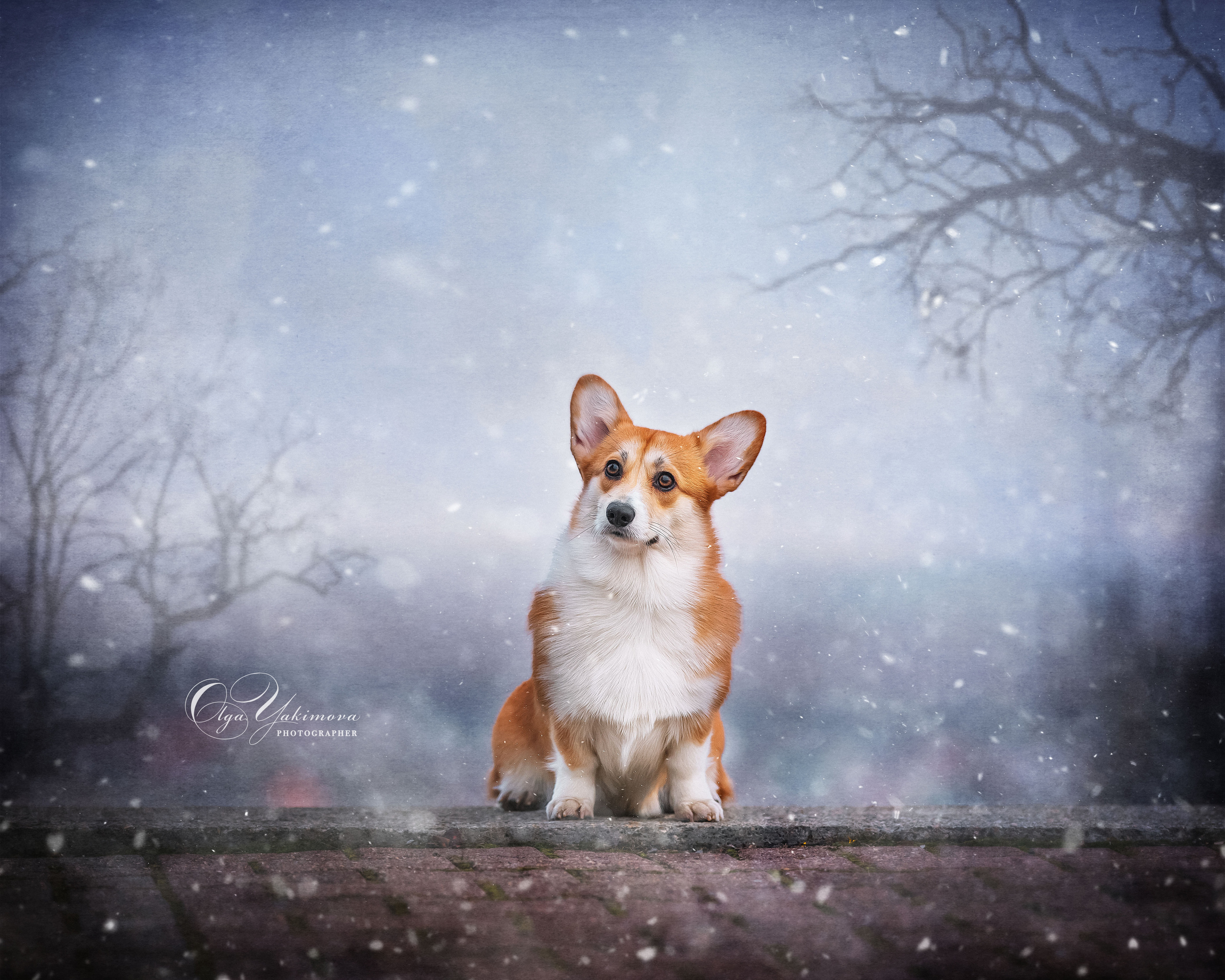 Экстерьер. Фотограф