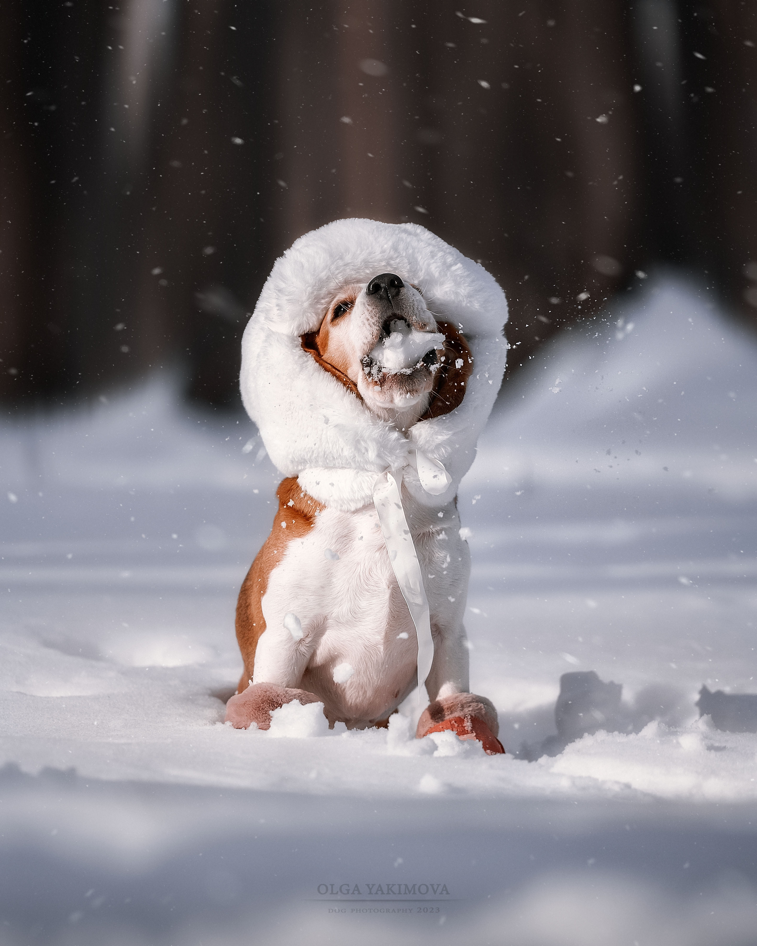 Анна. Фотограф