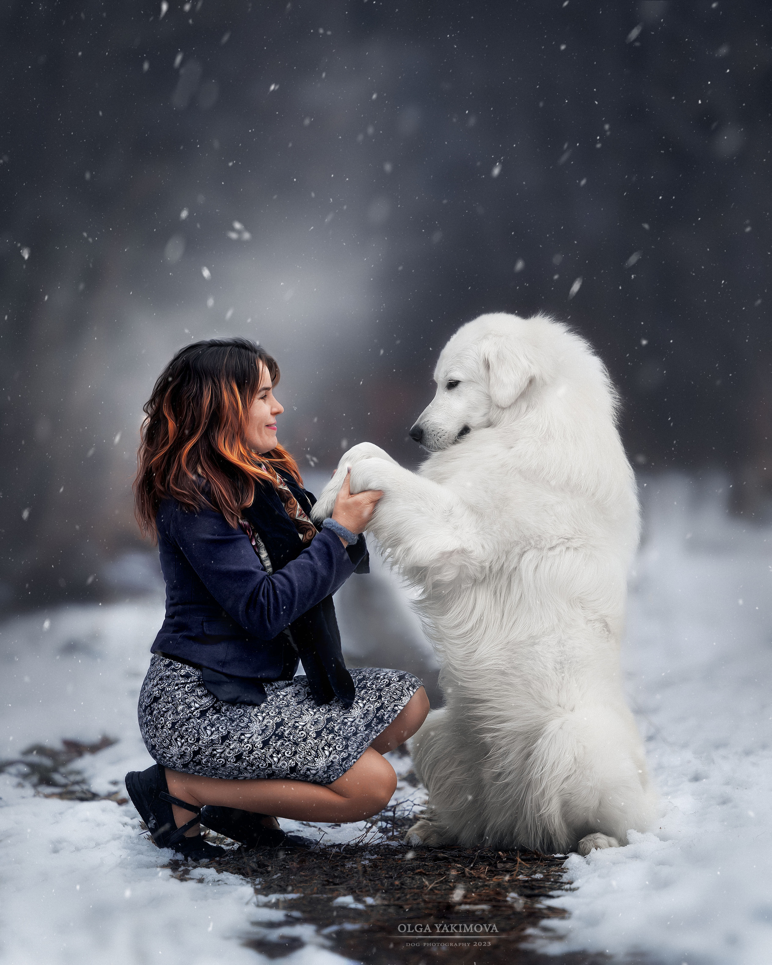 Экстерьер. Фотограф