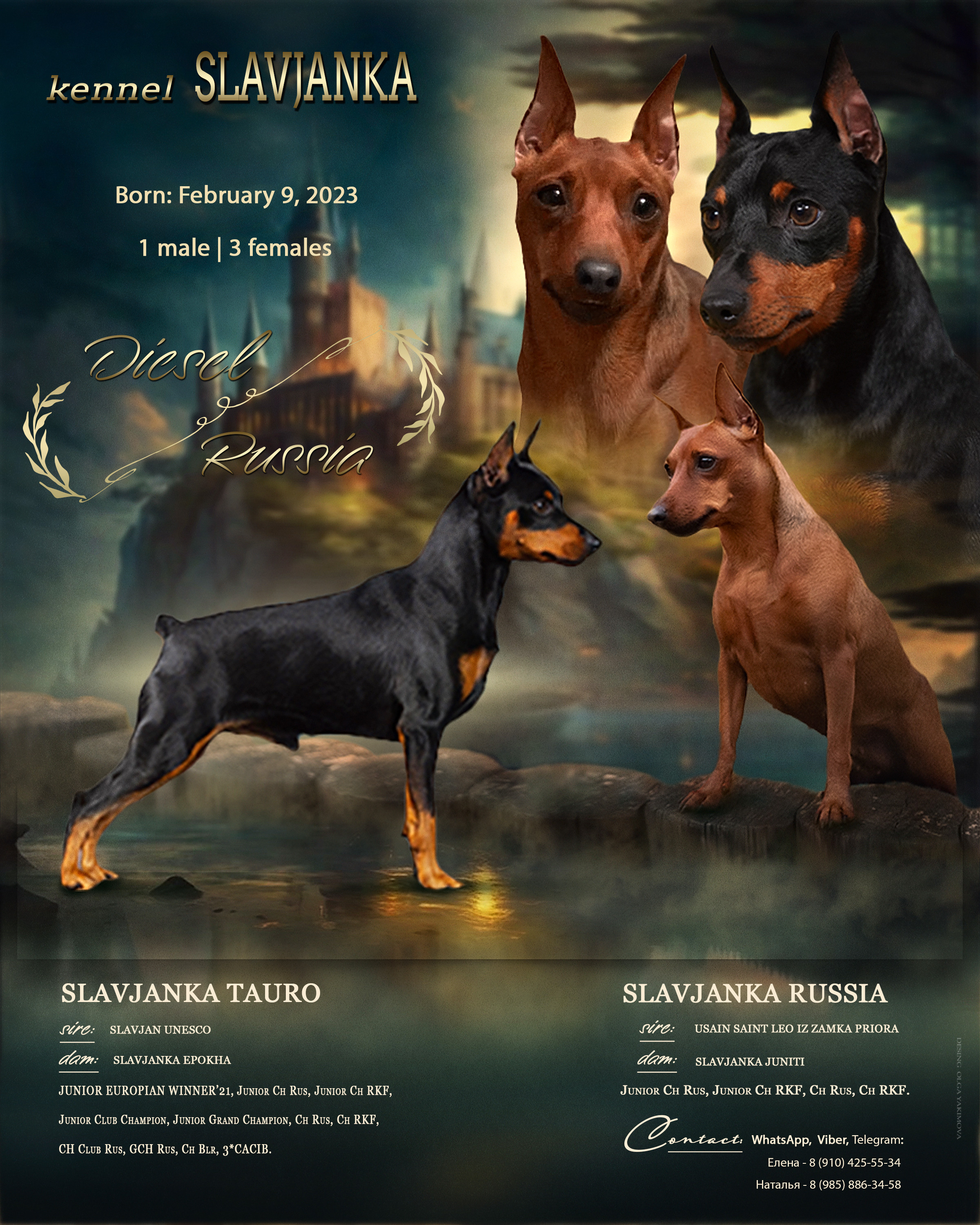 Animal presentation. Фотограф