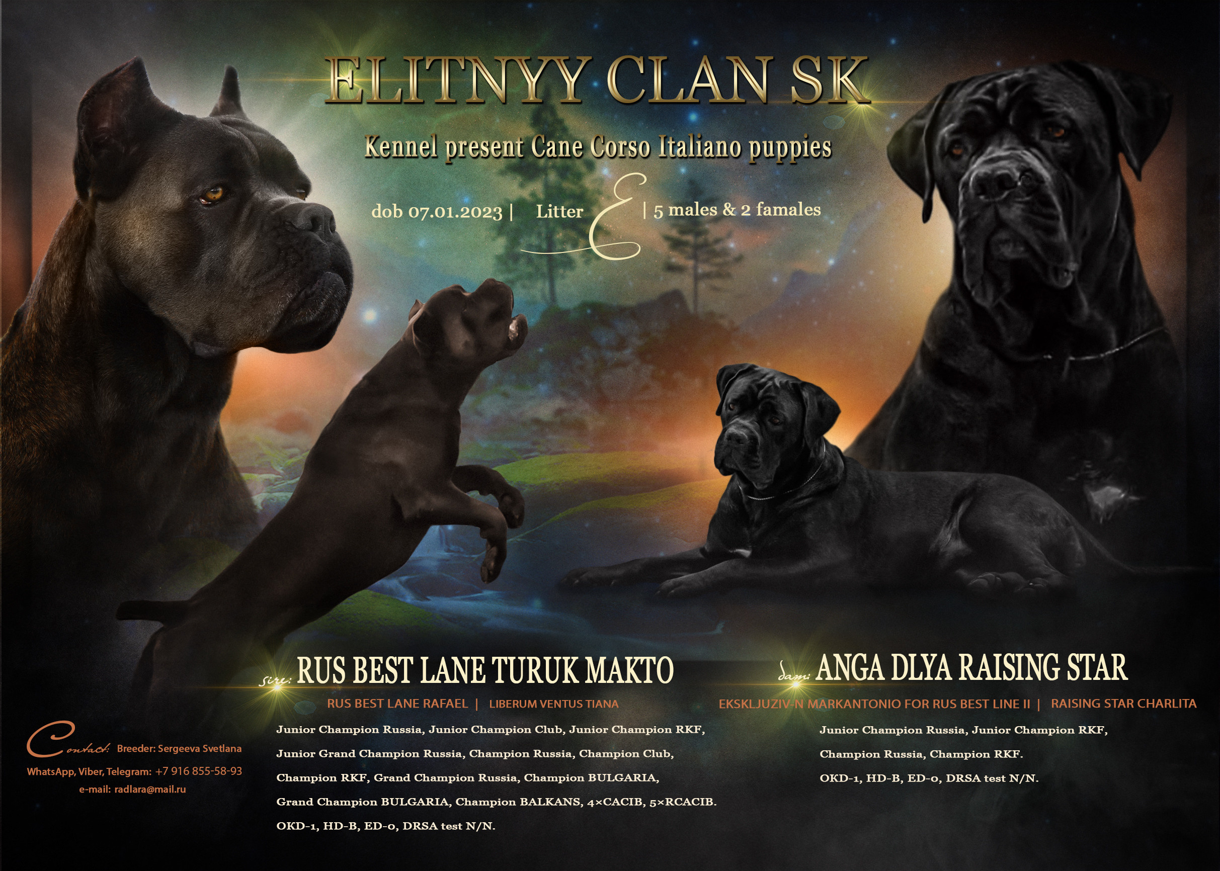 Animal presentation. Фотограф