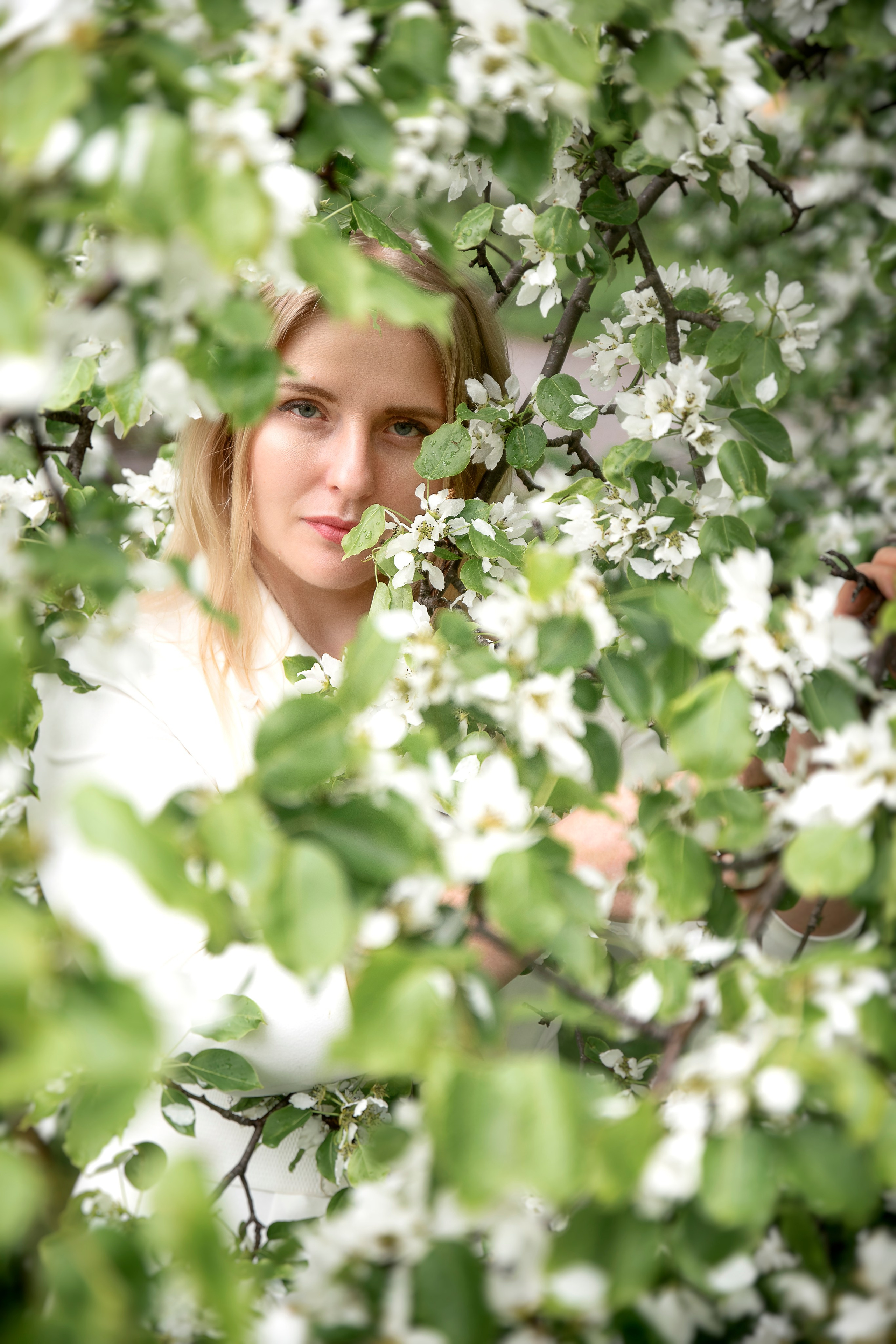 Белый шепот яблонь