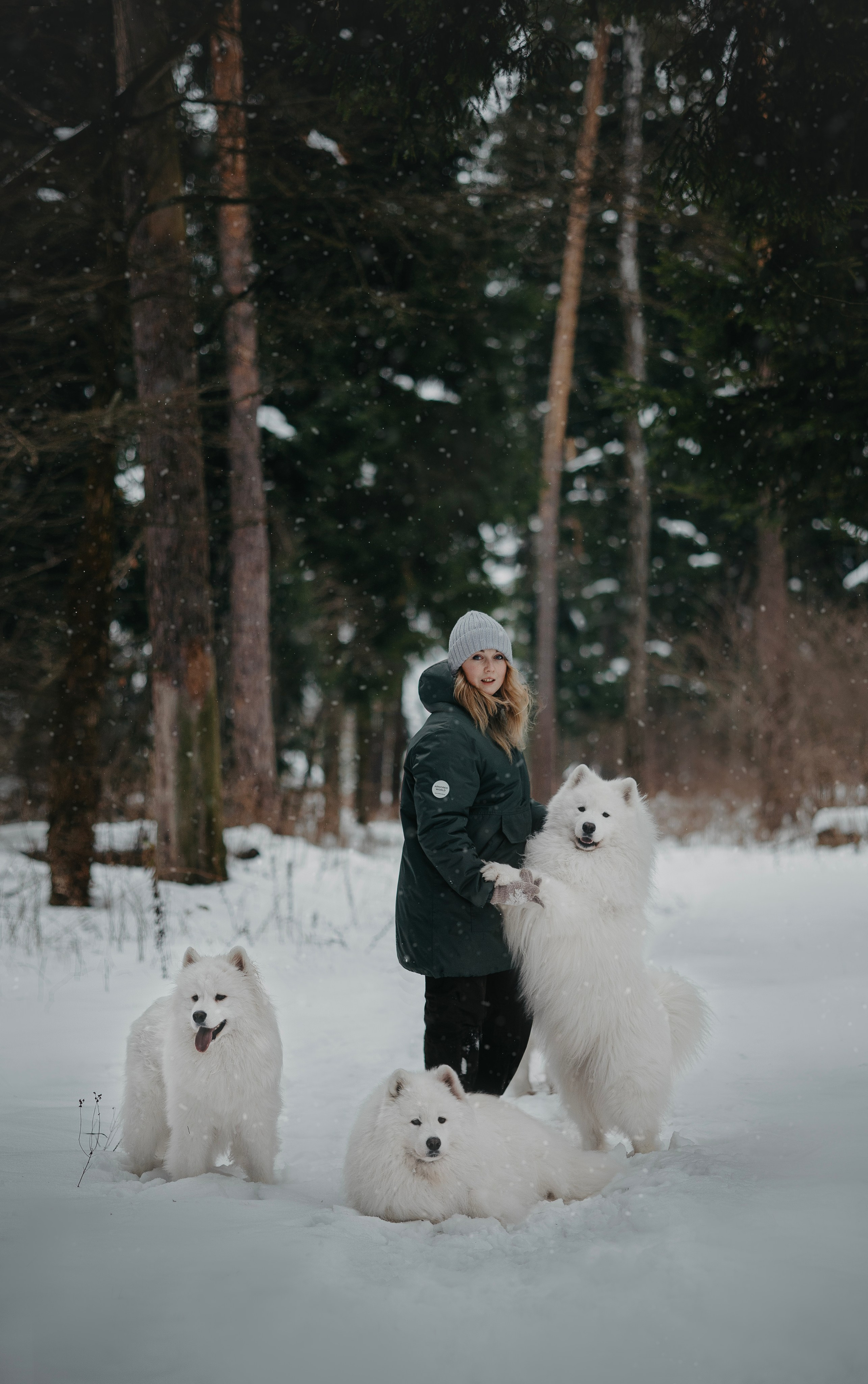 Для брендов. Фотограф анималист в Москве Майорова Евгения