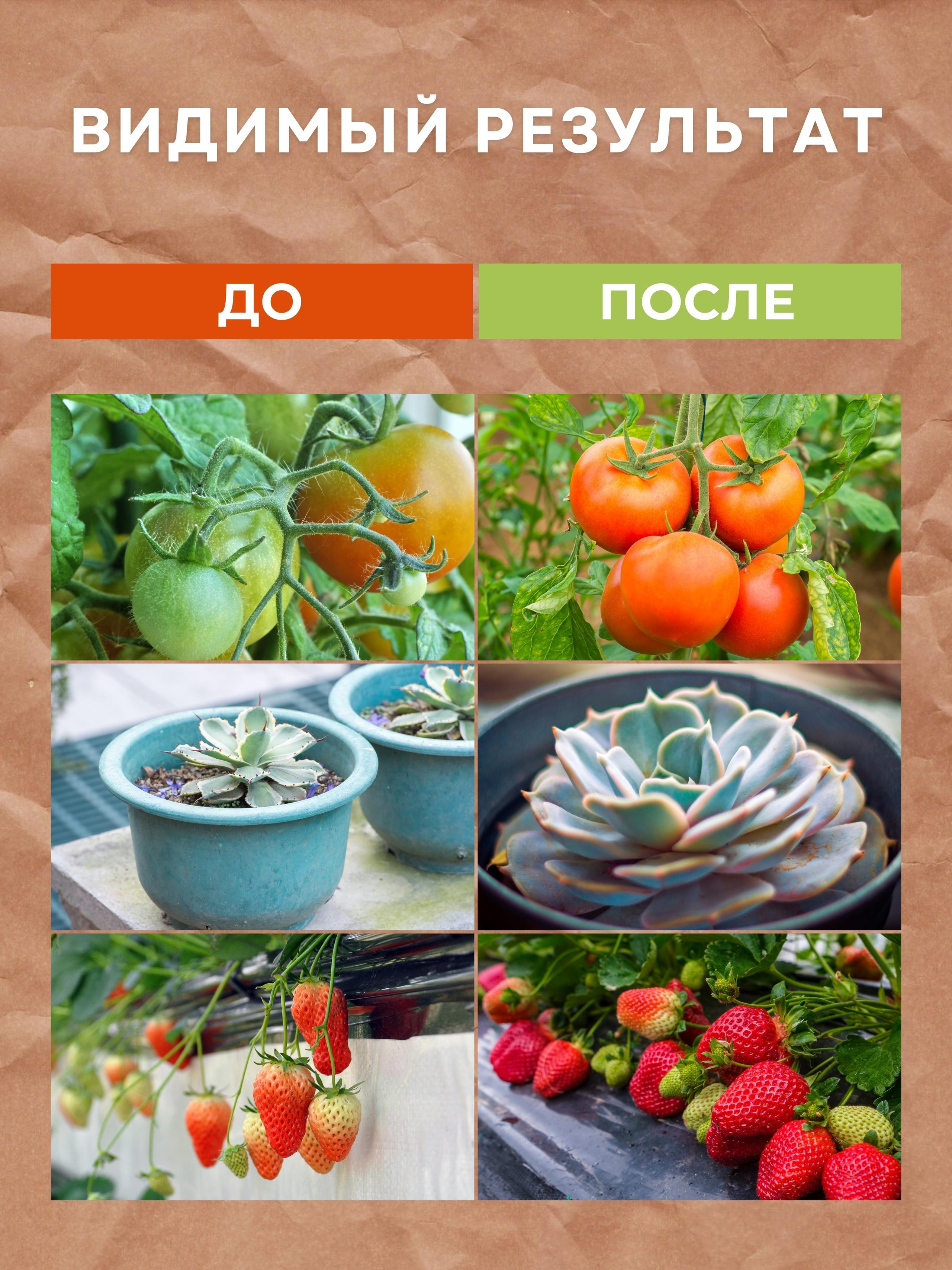 Инфографика для маркетплейсов: фитолампа. Маркетолог в Москве, специалист по коммуникациям и рекламе Аня Смоляга