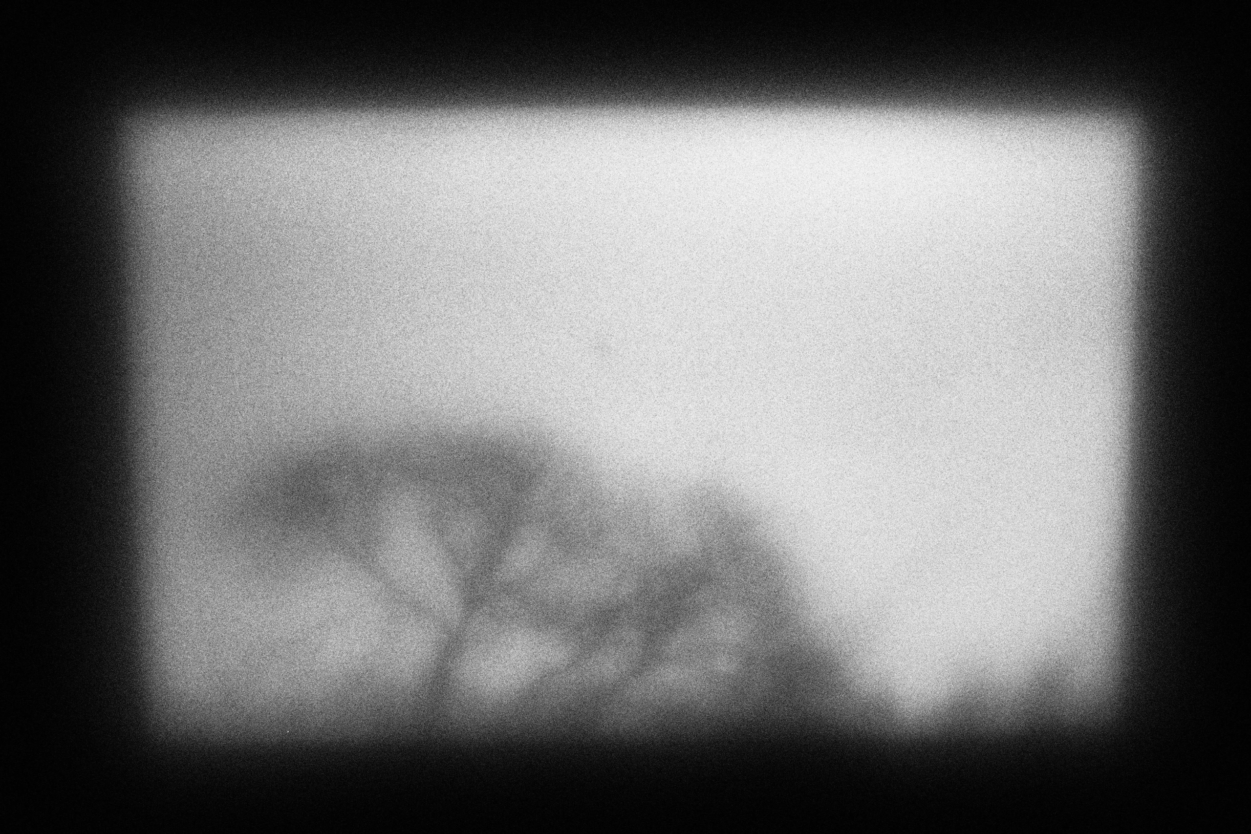 Дилетантские фотографии для заурядных людей