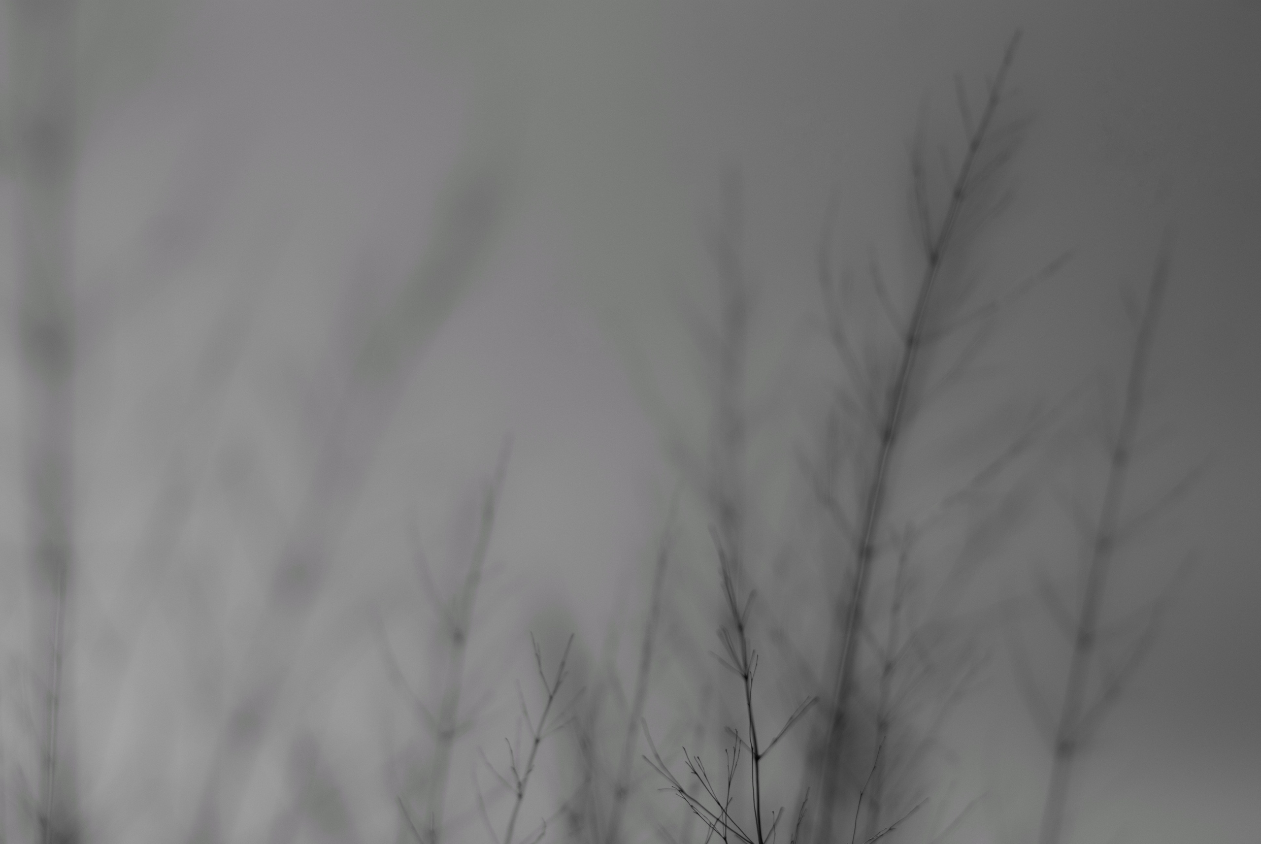 Внутривенные сны (2018-2023)