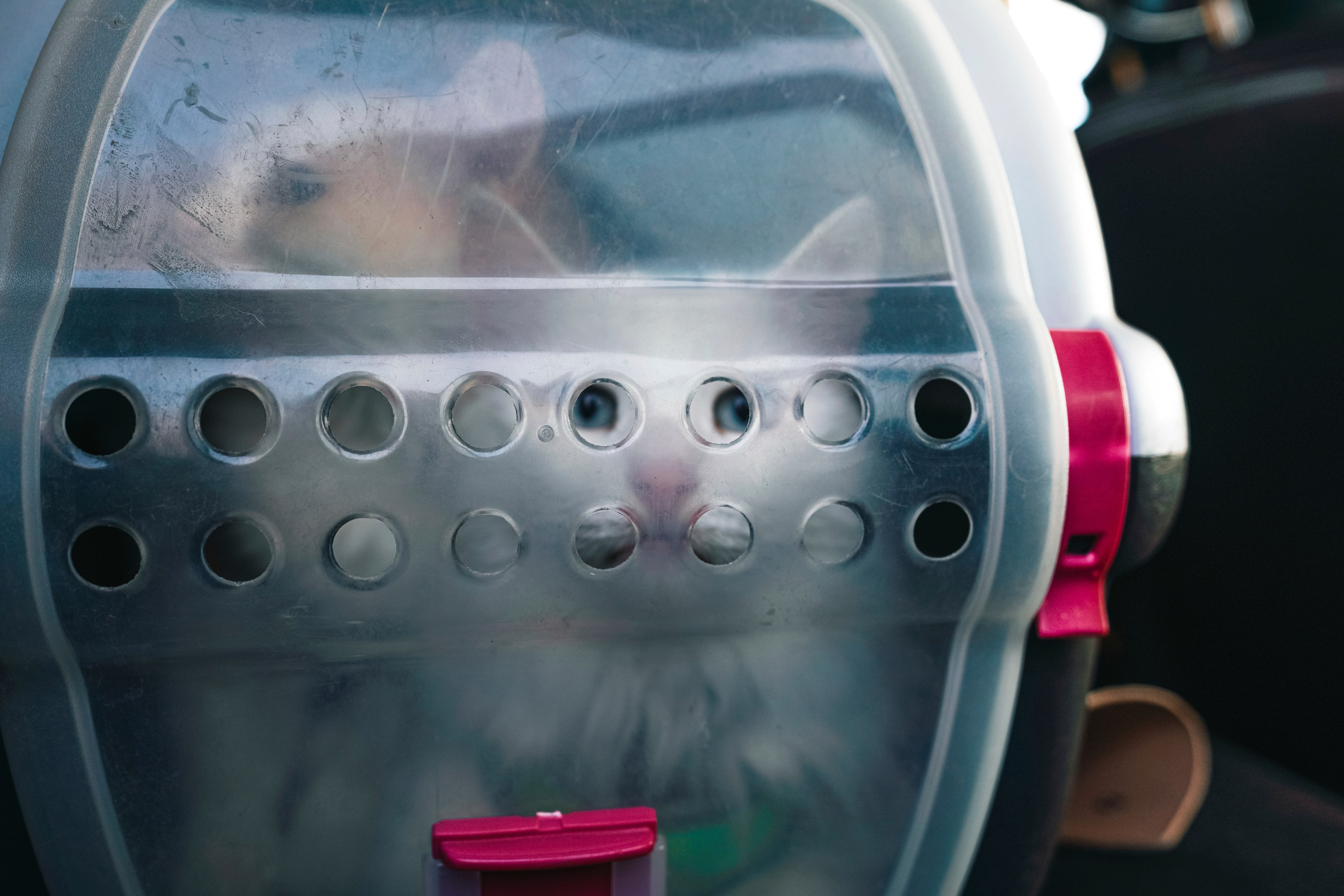 «Наша маленькая безумная семья». Фотограф Казань