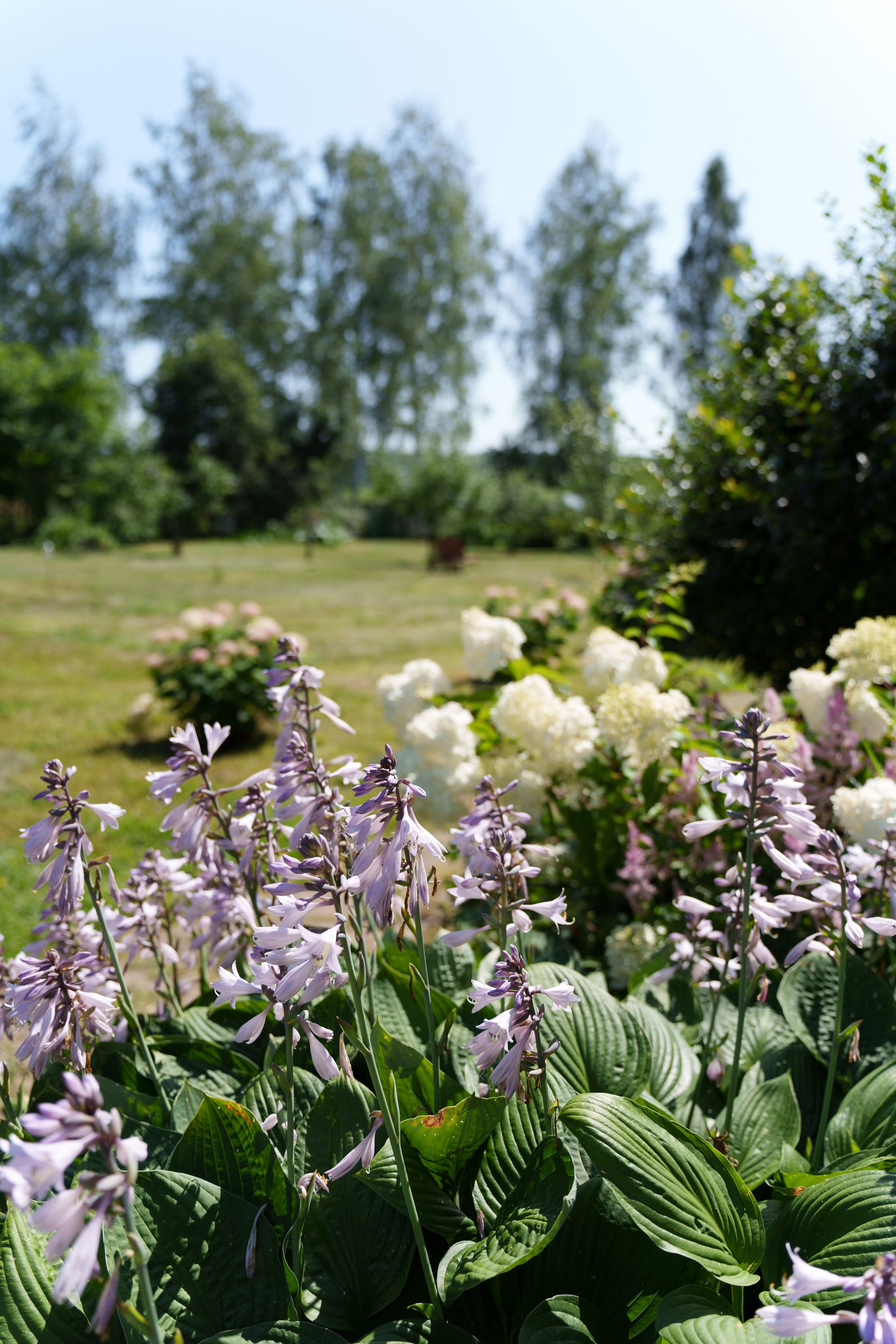 Сельский шик. Виктория Саханкова — портретный и семейный фотограф в Москве