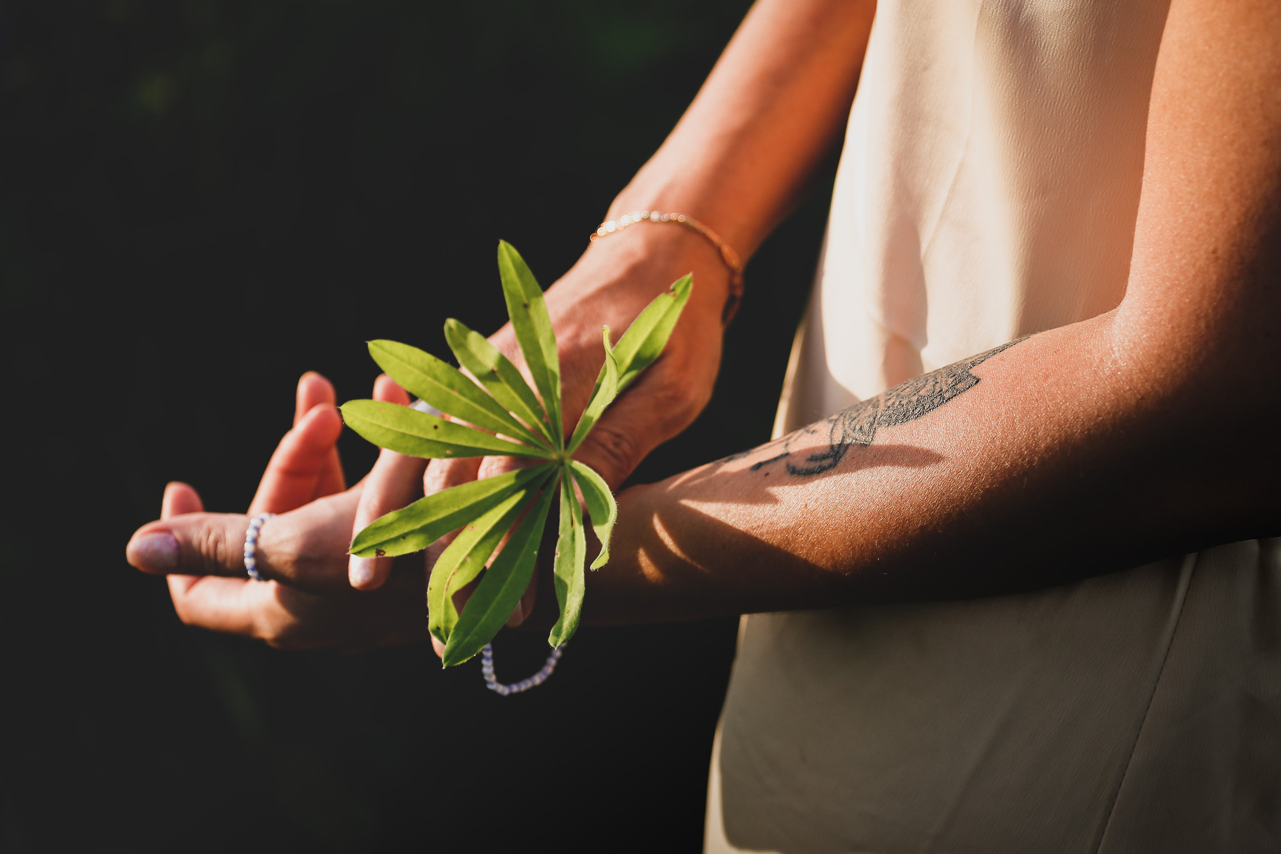 Среди люпинов. Efremovaphoto.ru