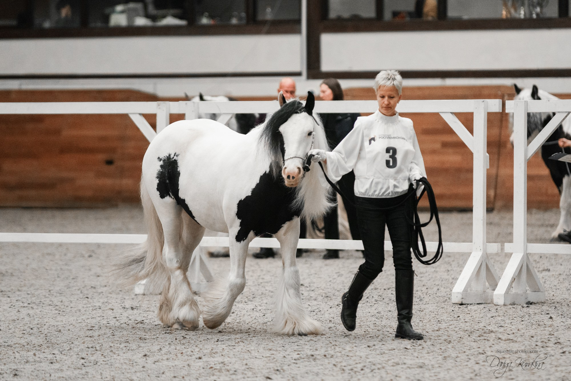 8-я международная выставка Конная Россия. Конный фотограф Куракина Дарья • Фотосессии с лошадьми