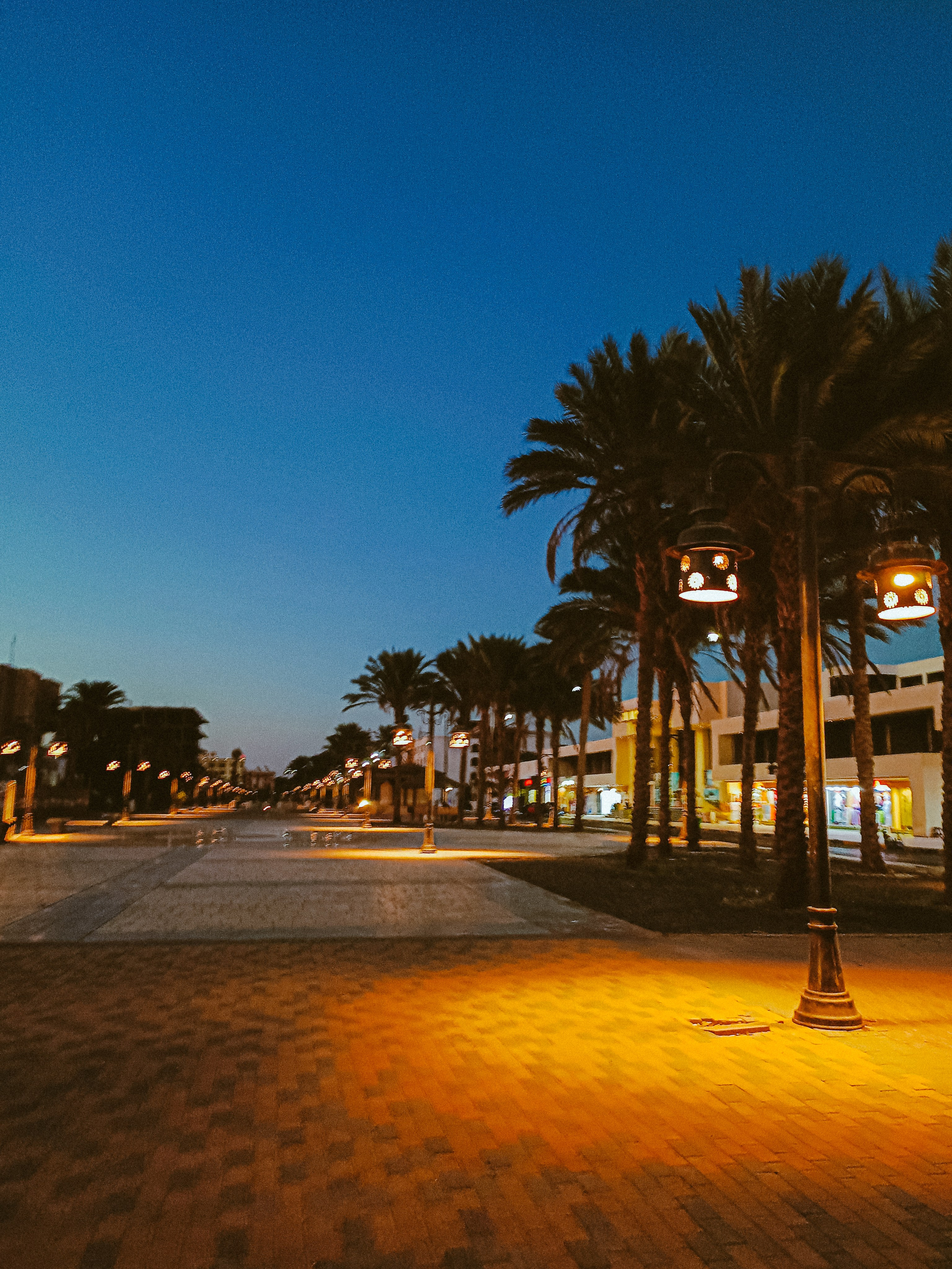 Мобильная. Jorgis — фотограф в Хургаде / обучение фотографии