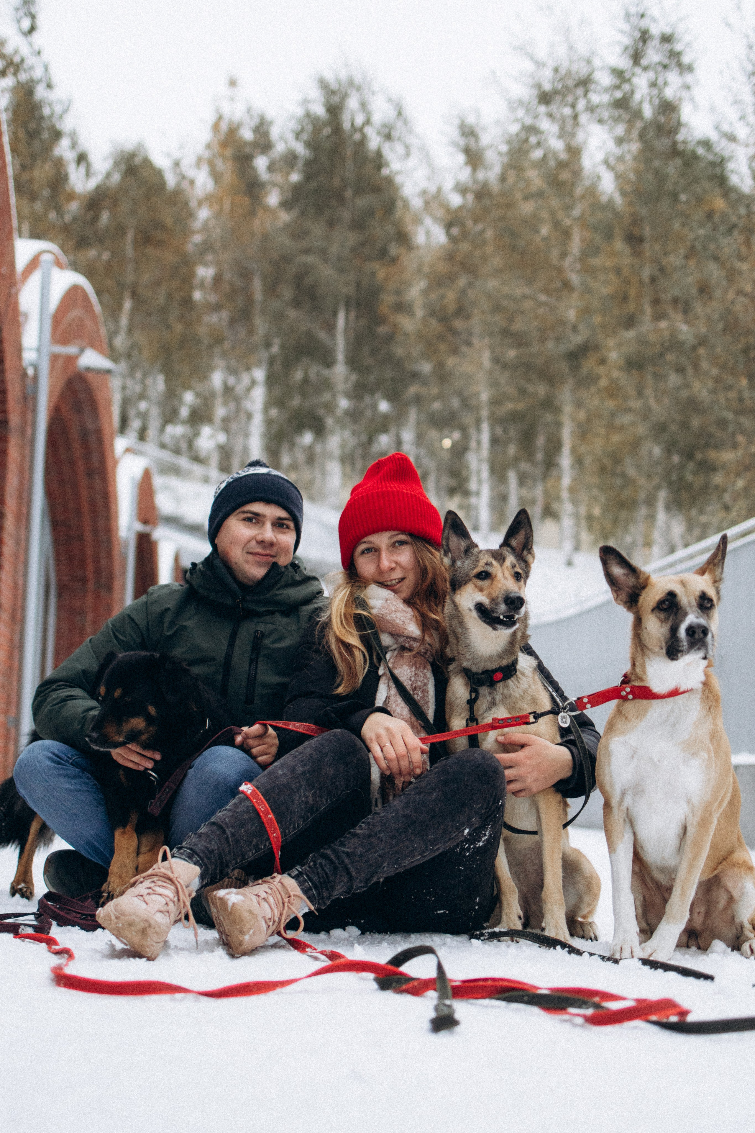 Саша, Ксюша и их банда. Фотораф — анималист Мария Шистка