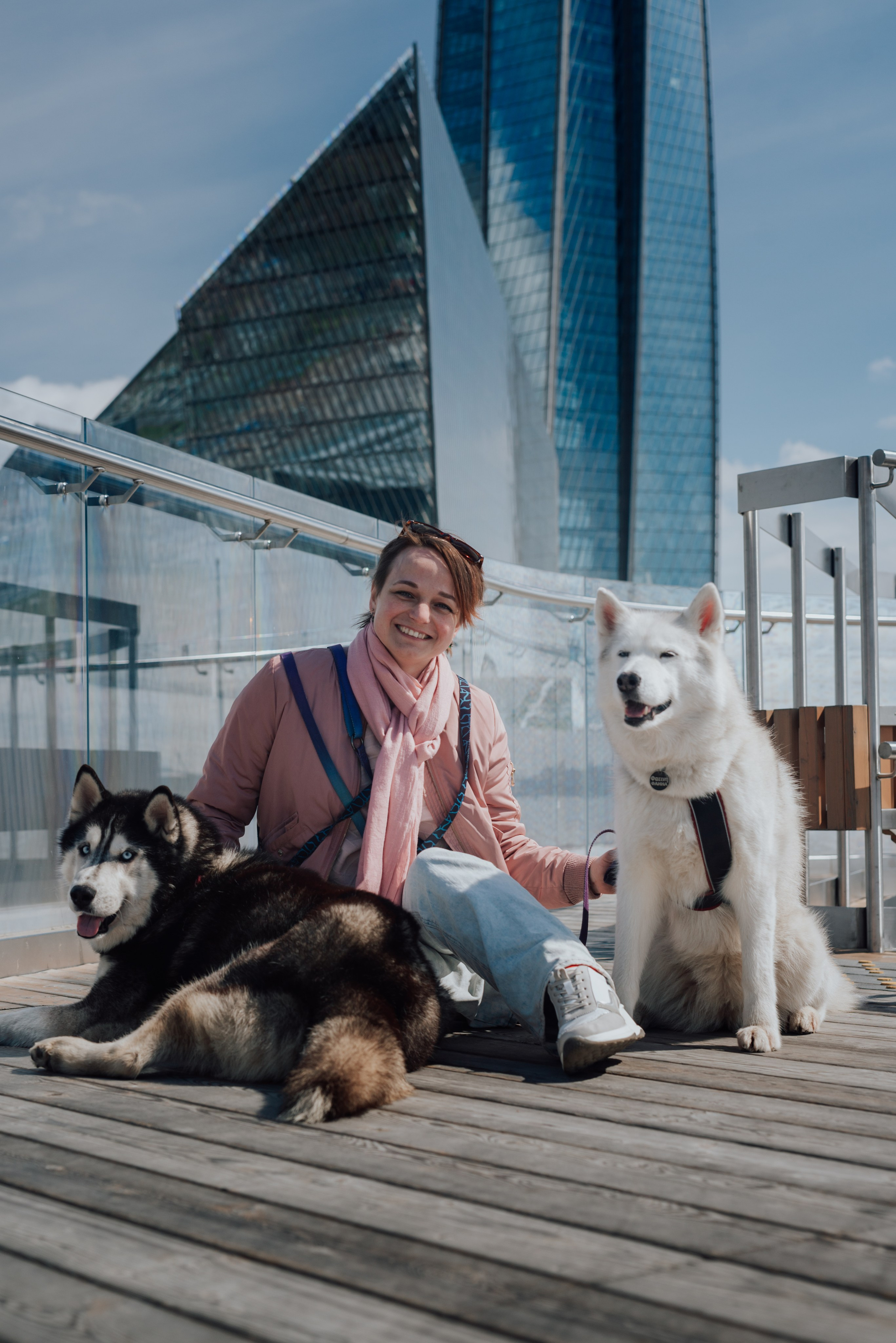 Фотодень с хаски. Фотограф в Санкт-Петербурге и Ленинградской области