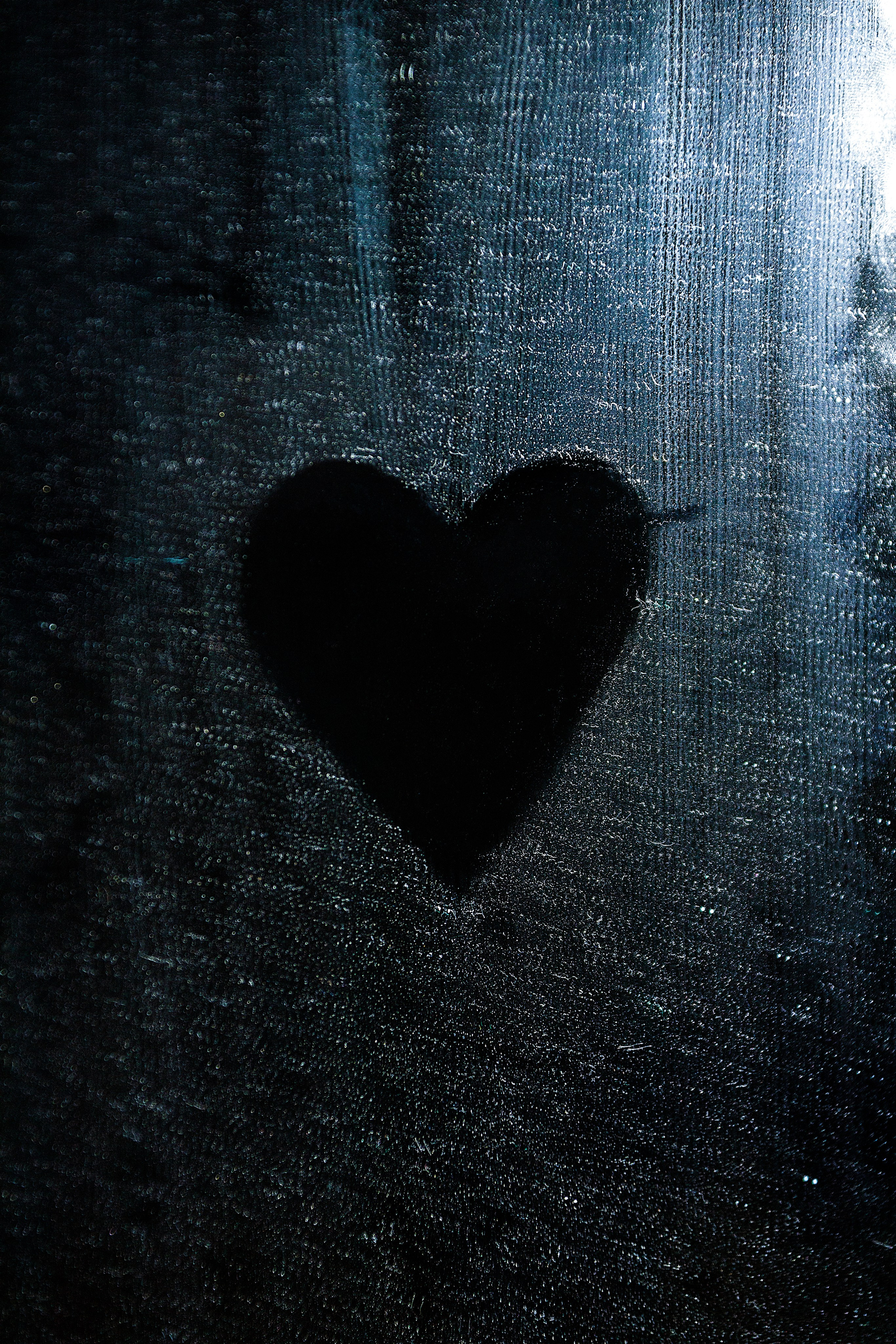 Проект «366»|2024|Фото каждый день. LENA GRACE photographer ||ЛЕНА ГРЭЙС фотограф