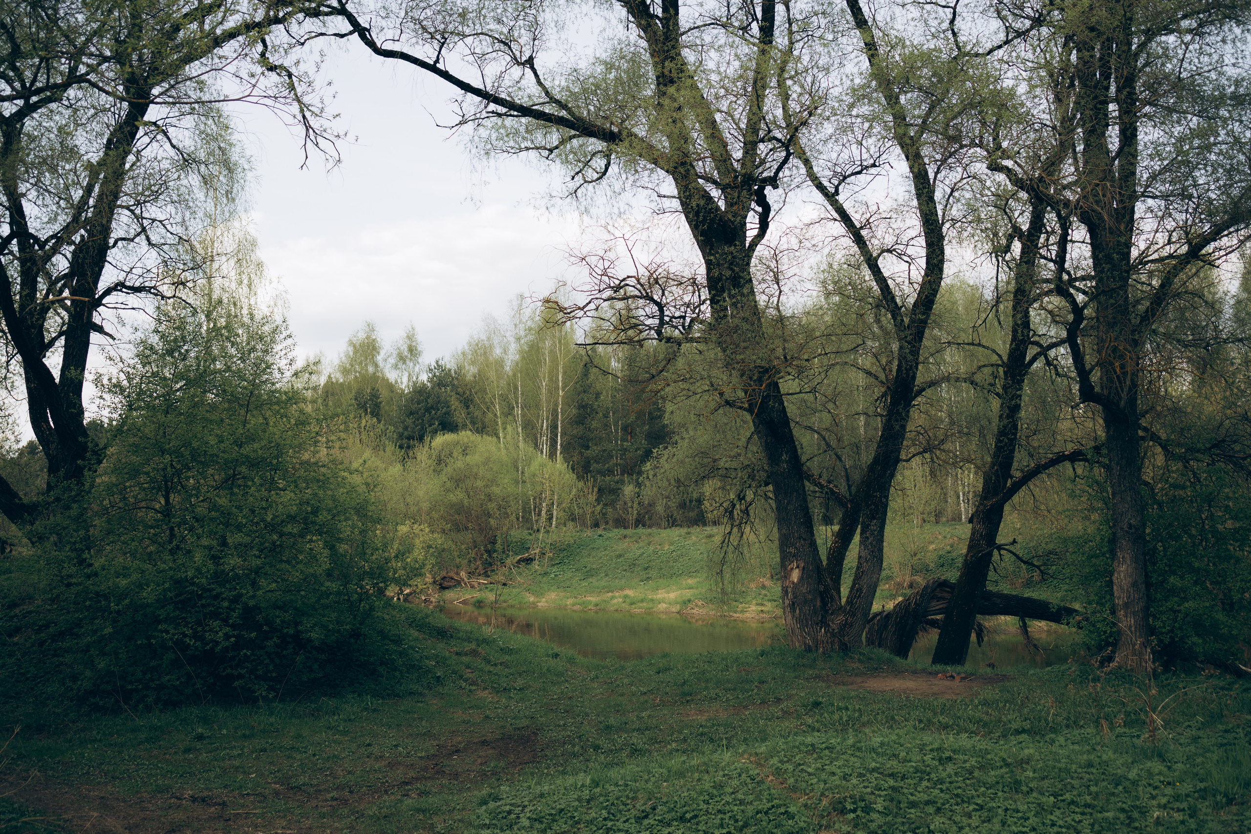 Istra. Женский фотограф Истра