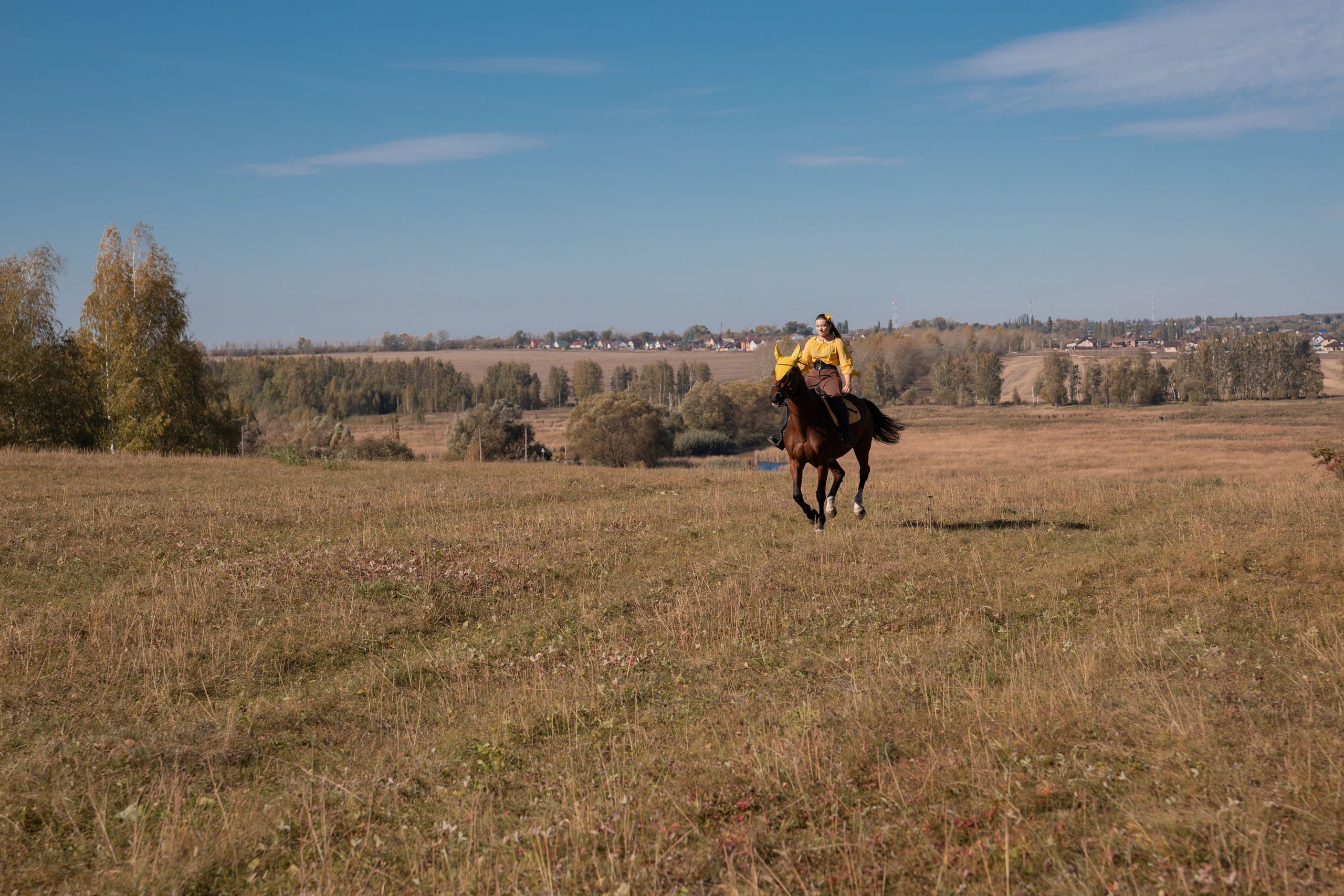 Фотосессия с лошадьми