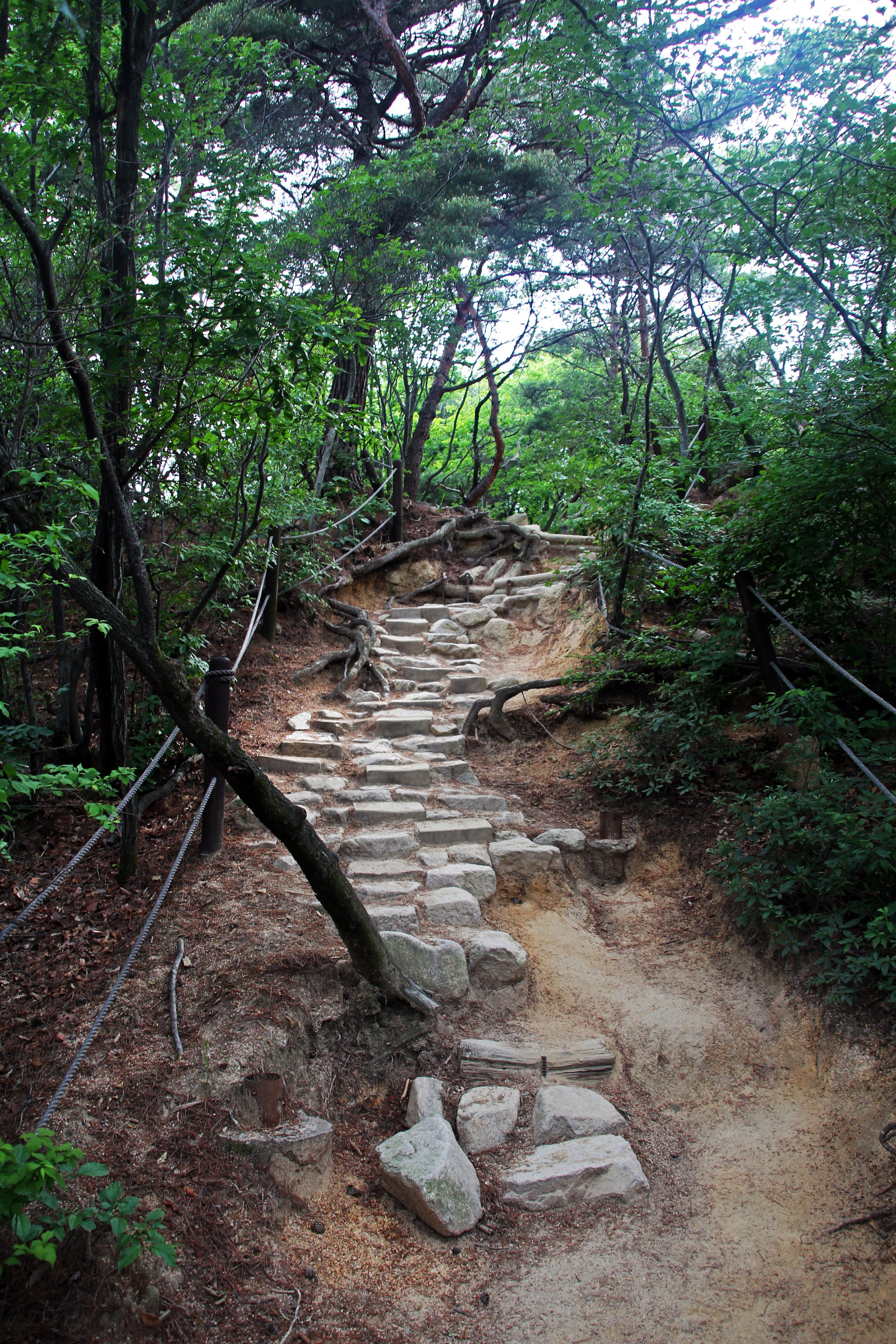Южная Корея — Сеул. Фотограф Алексей Федорищев