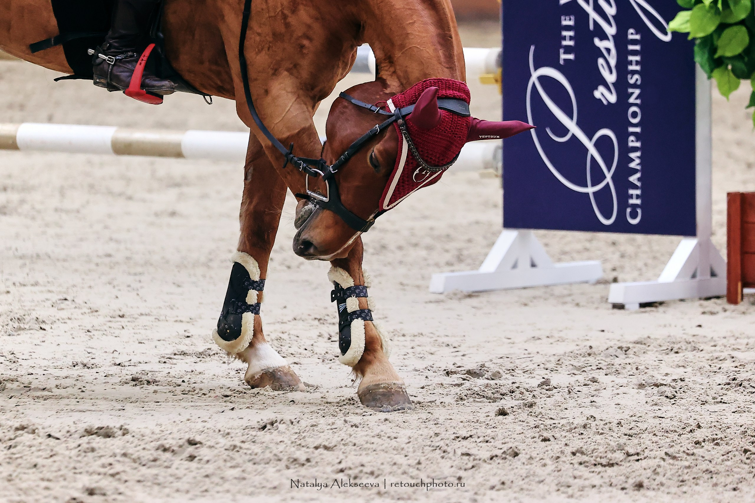 Кубок Президента ОАЭ по конкуру, Maxima Stables | 11'2023. Репортажный фотограф и ретушер в Москве Наталья Алексеева