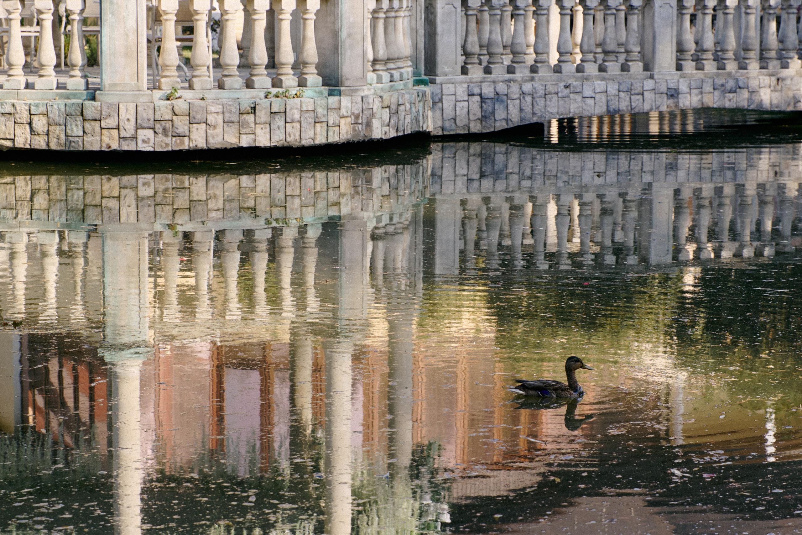 Свадебная фотосъемка в Москве | Волшебные кадры вашего идеального дня. Контентный и репортажный фотограф Виталий Кулешов | Москва