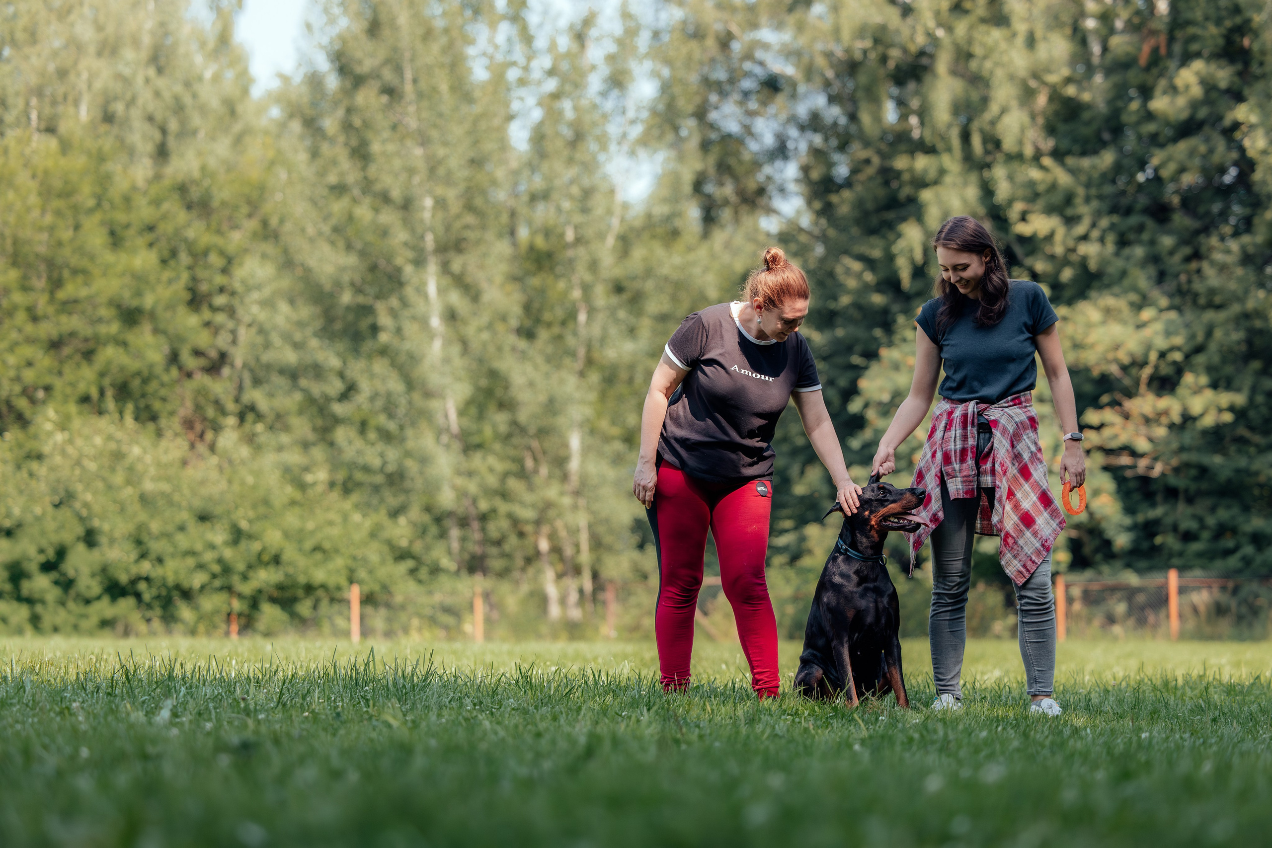 Доберман Айза. Фотограф Анималист в Москве Анастасия Жучкова