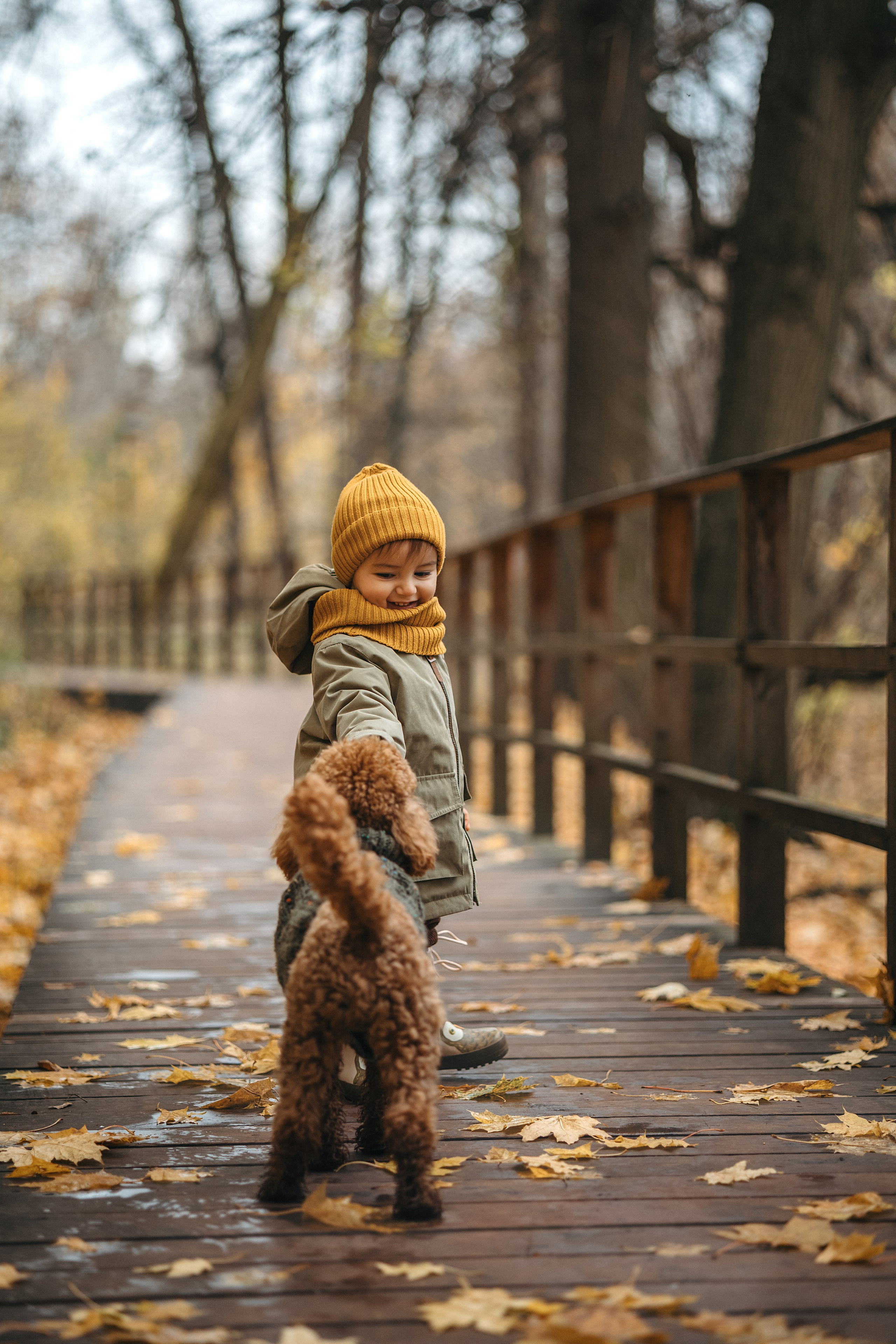 Осень в Нескучном саду (в обработке). Фотограф Анималист в Москве Анастасия Жучкова