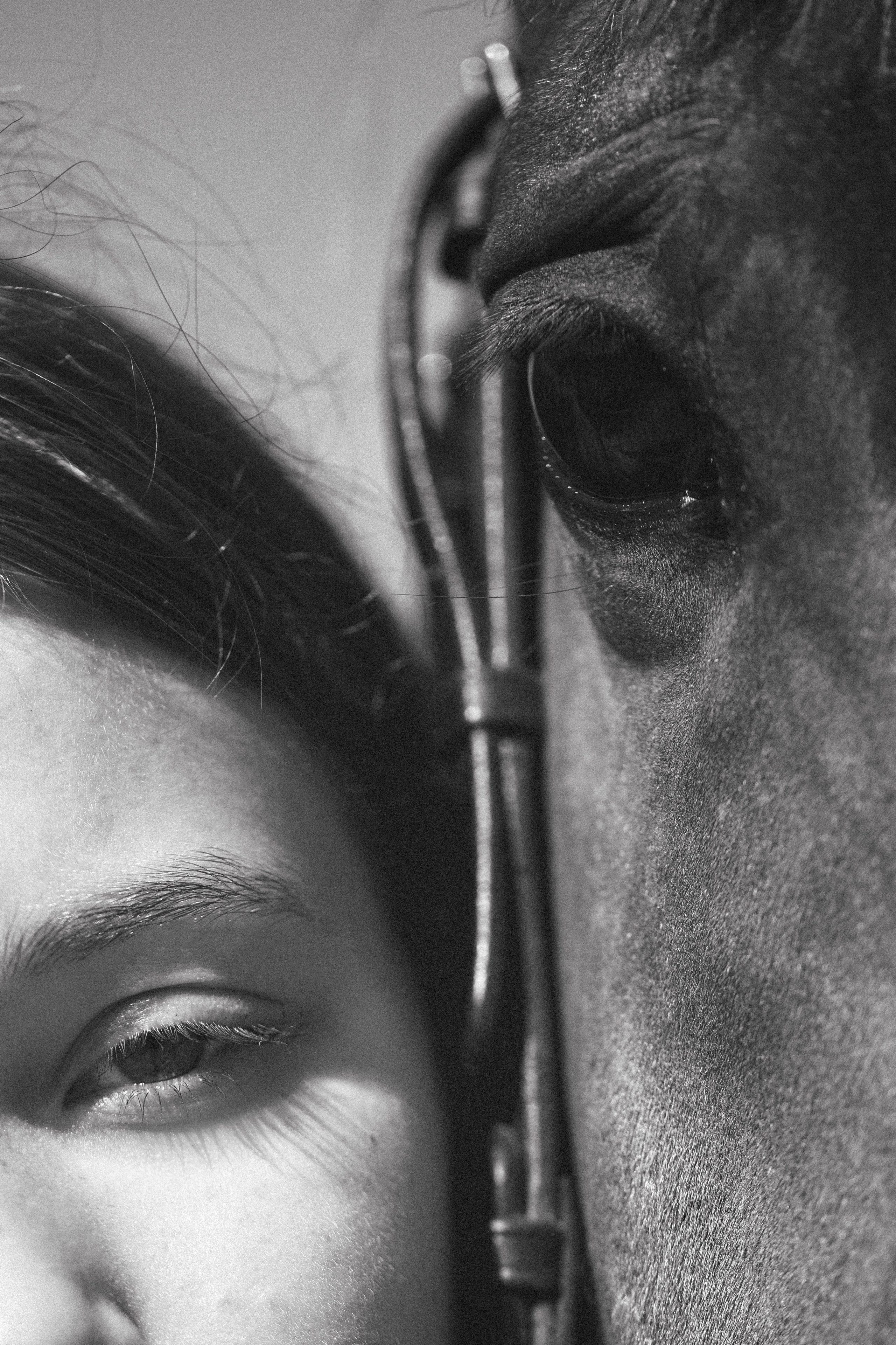 Виктория и Лео. Фотограф Анималист в Москве Анастасия Жучкова