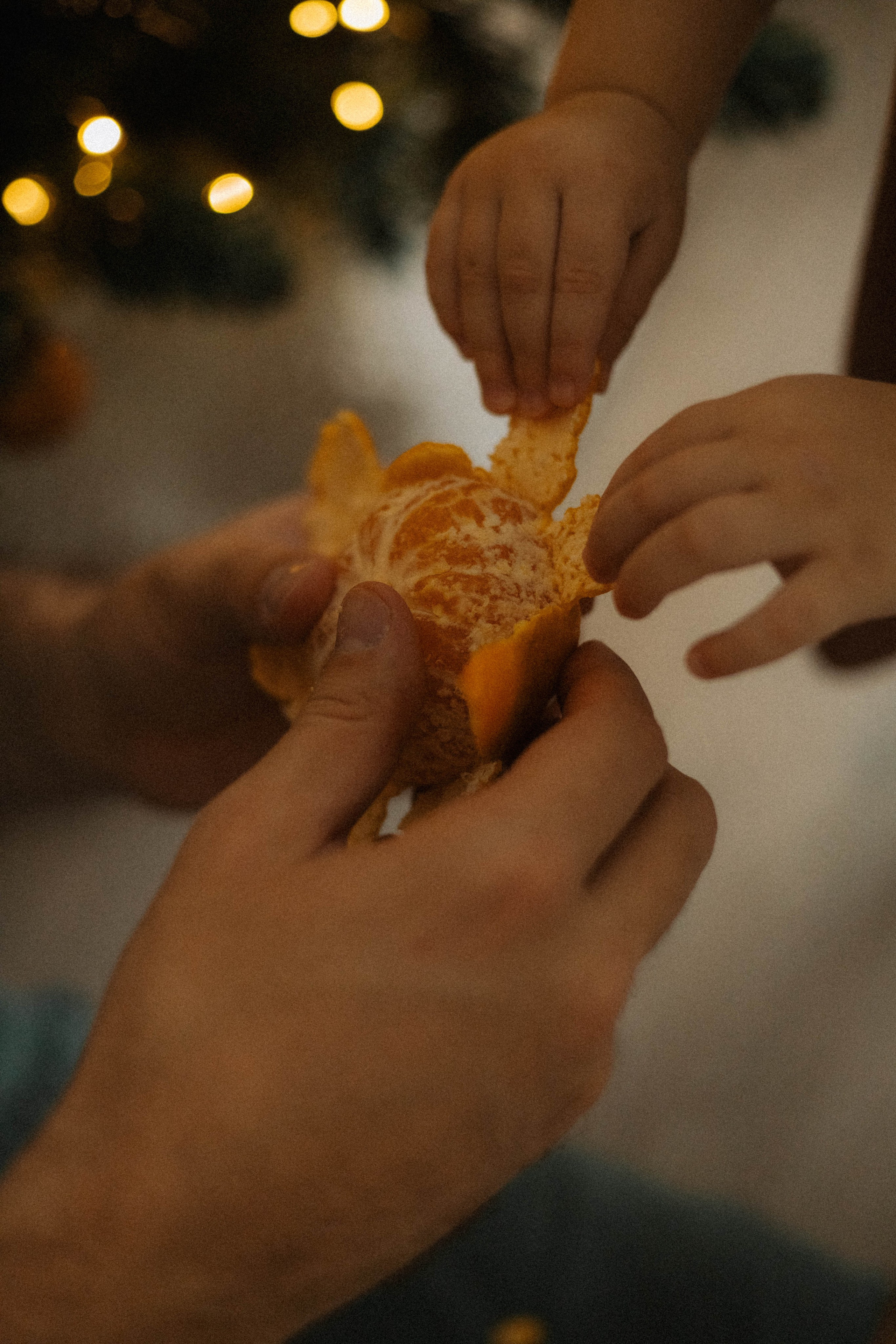 Евгений и Мия. Семейный фотограф в Ижевске Даша Денисова