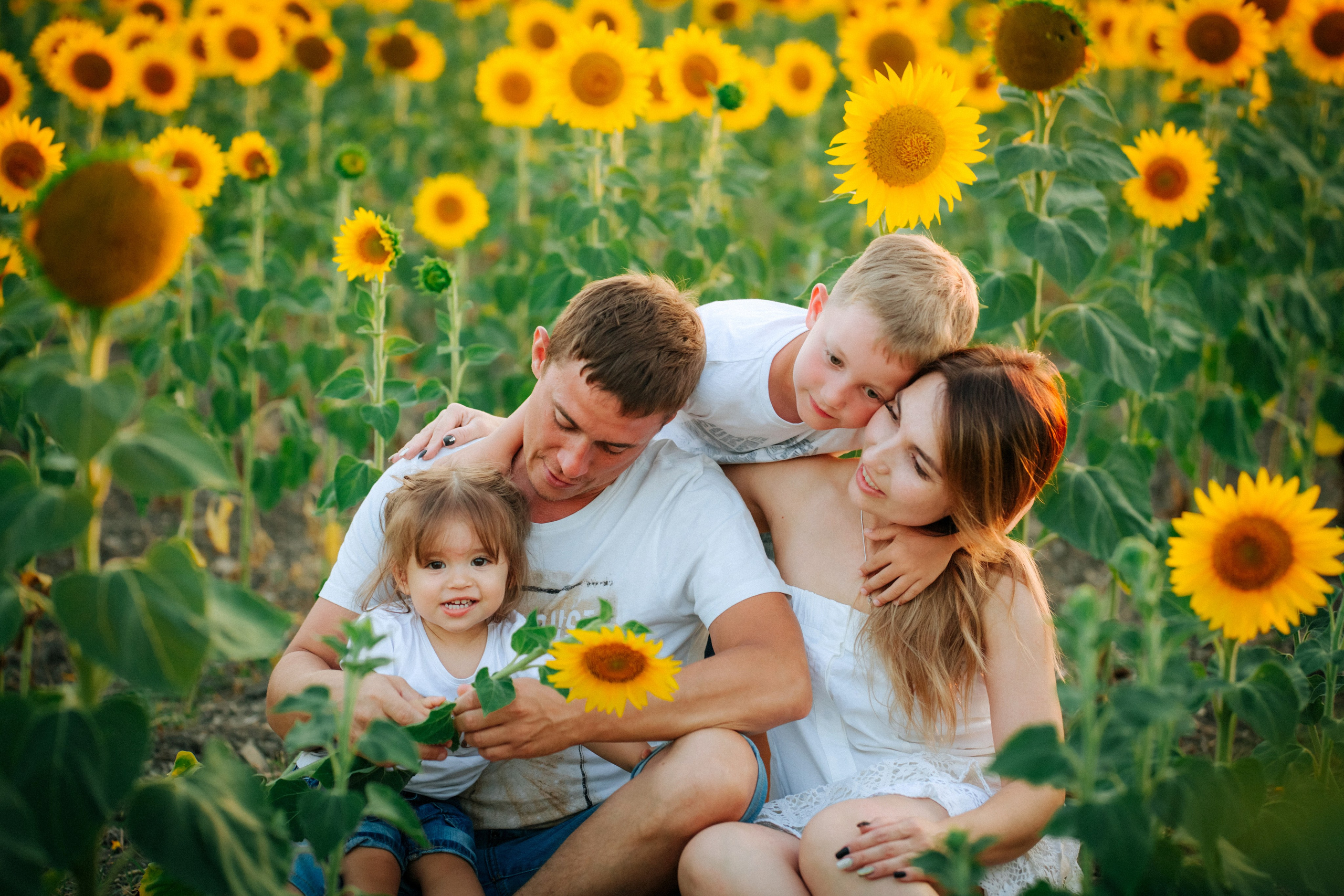 Подсолнухи!. Семейный, детский, свадебный, фотограф в городе Анапа