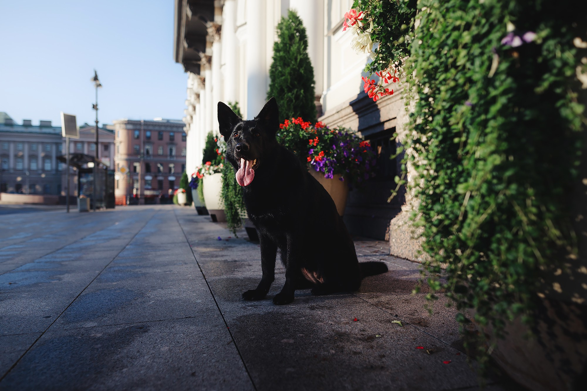 Алена, Кай и Мара. Фотограф-анималист Mary Mart — Москва, Питер