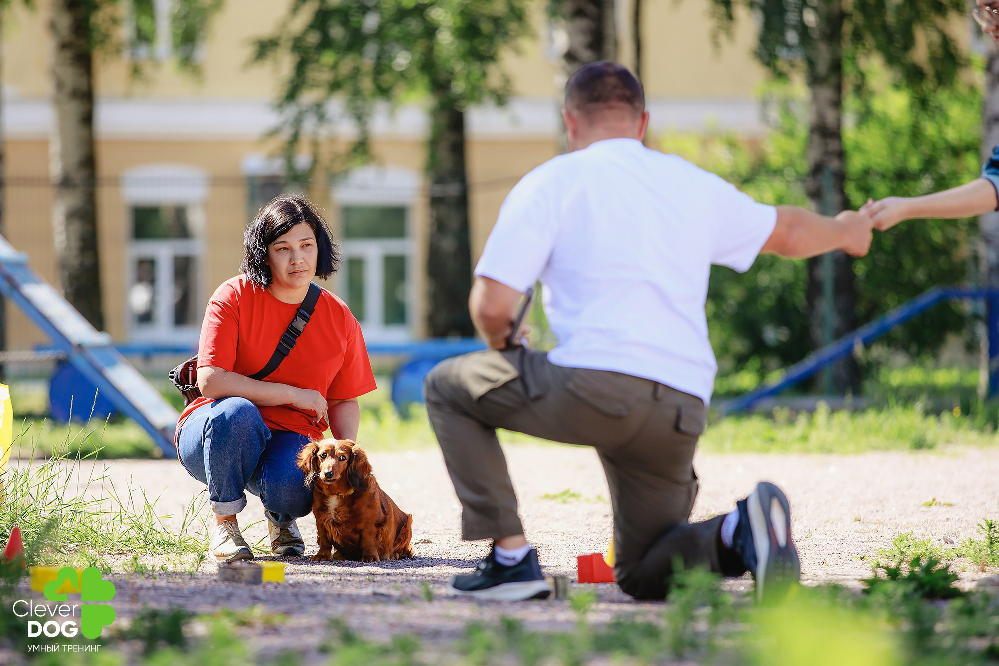 Семинар по поиску запаха с Иваном Ломовым, организатор CleverDog, СПб. Фотограф-анималист Mary Mart — Москва, Питер