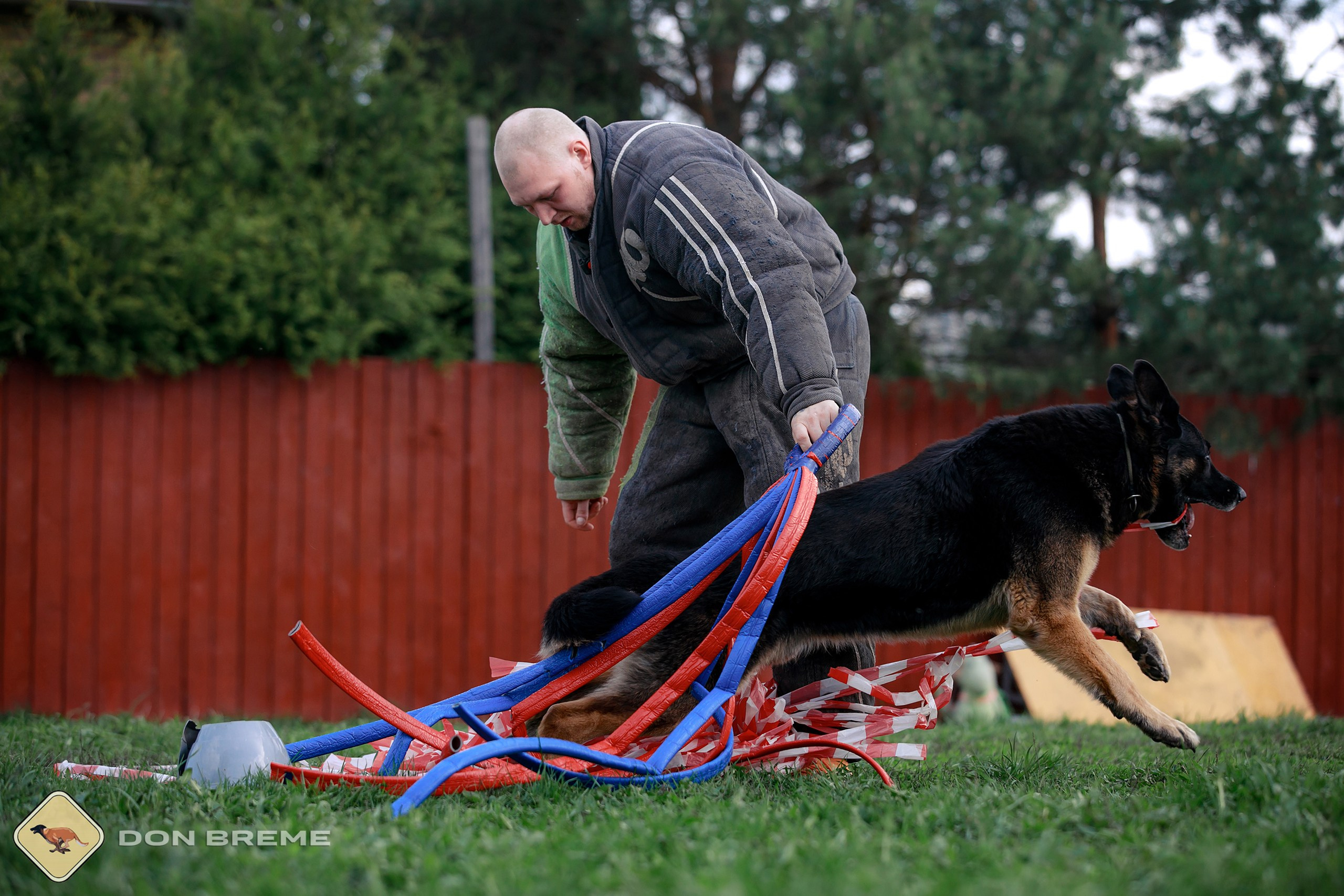 Семинар для фигурантов, день 2. Фотограф-анималист Mary Mart — Москва, Питер