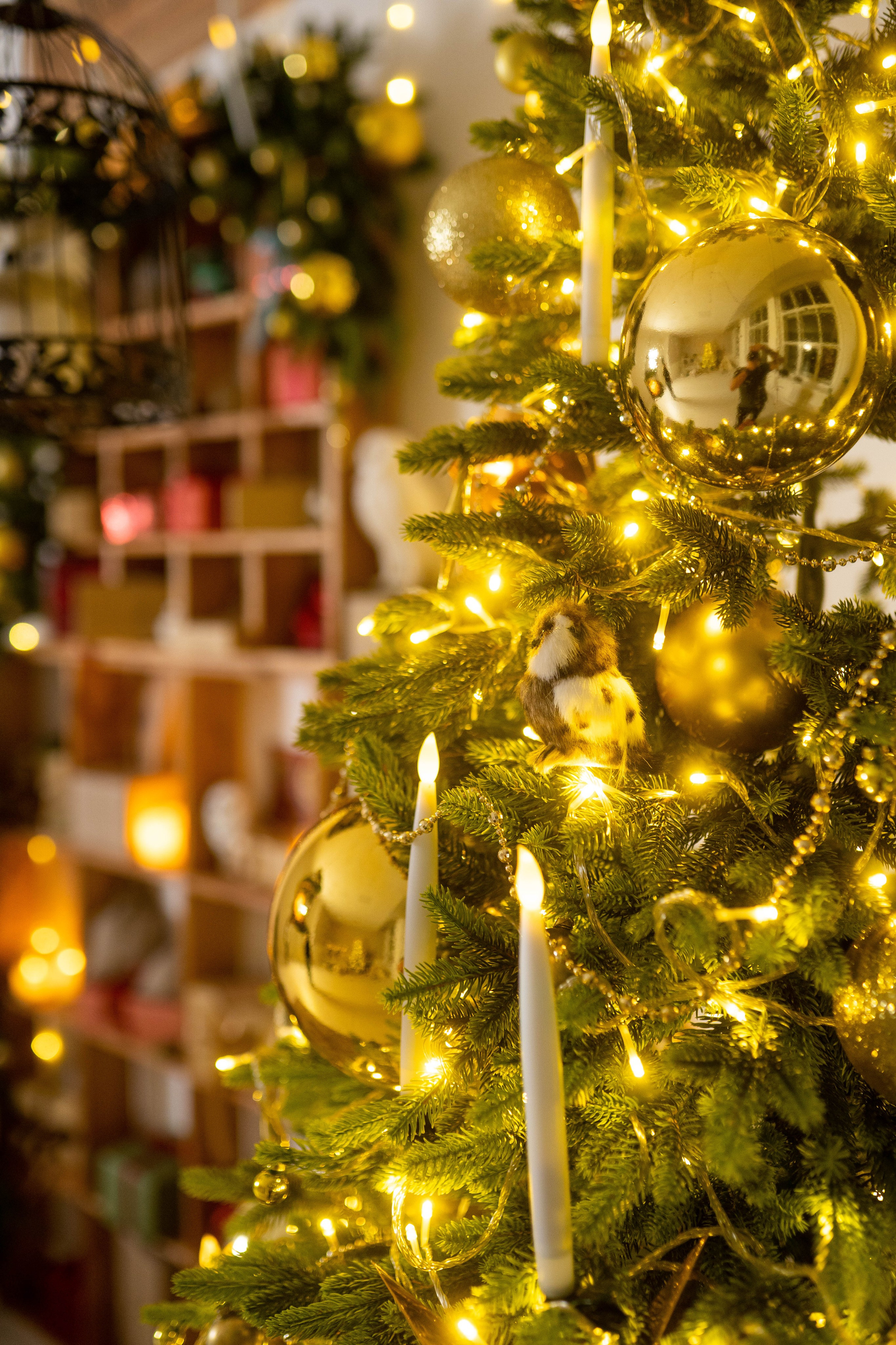 Зал Детский. Фотограф г. Хабаровск. Семейные и индивидуальные съёмки