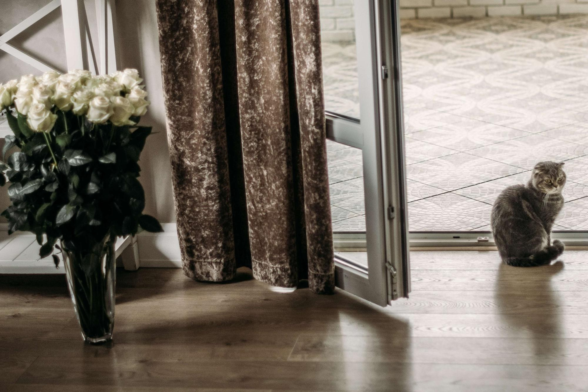 СЕМЕЙНЫЕ ВЫХОДНЫЕ. Свадебный фотограф в Ставрополе Сергей Шляхов