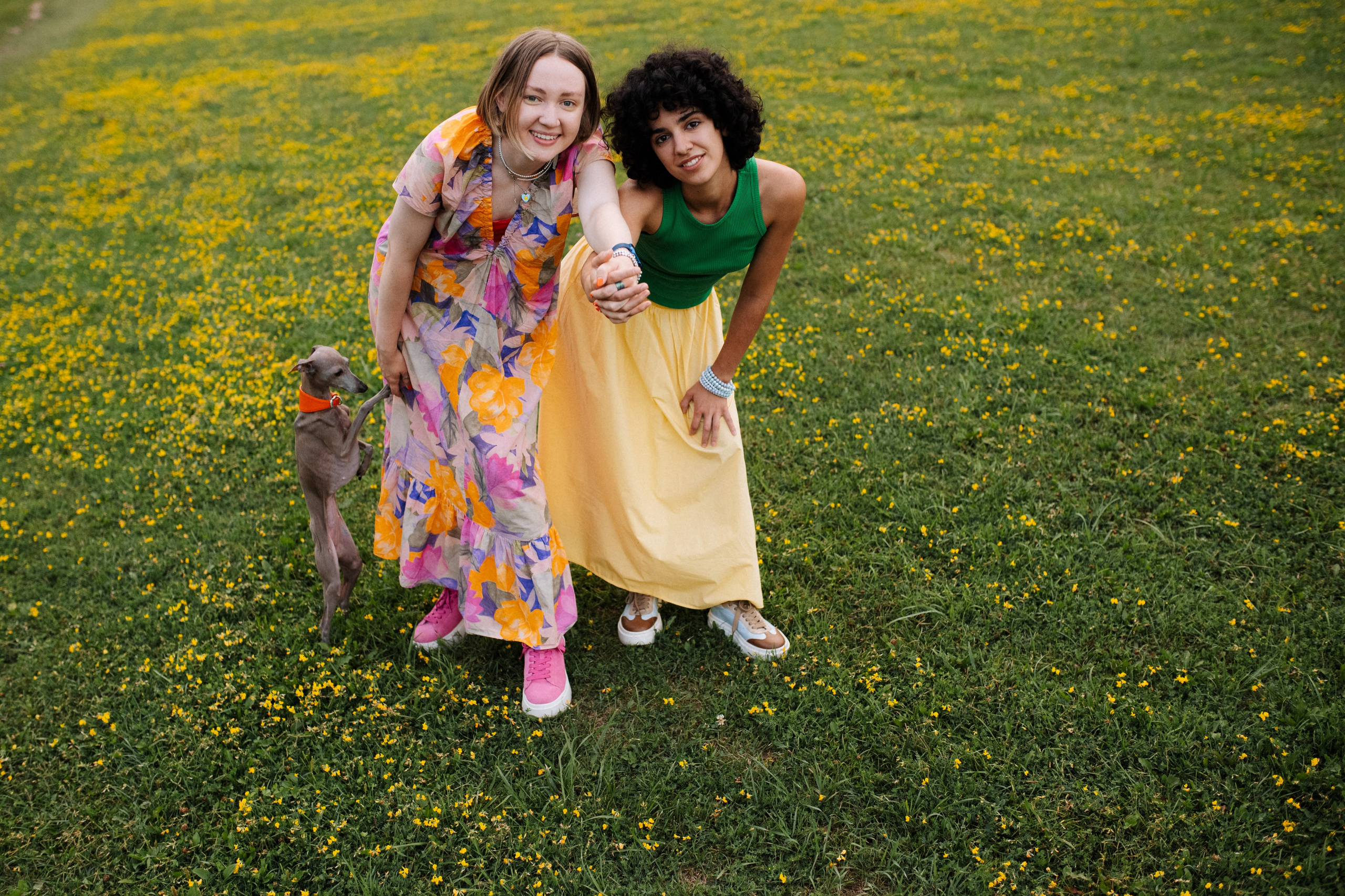 Хвост, смех и лучшие подруги. Фотограф анималист в Москве Ольга Агушева