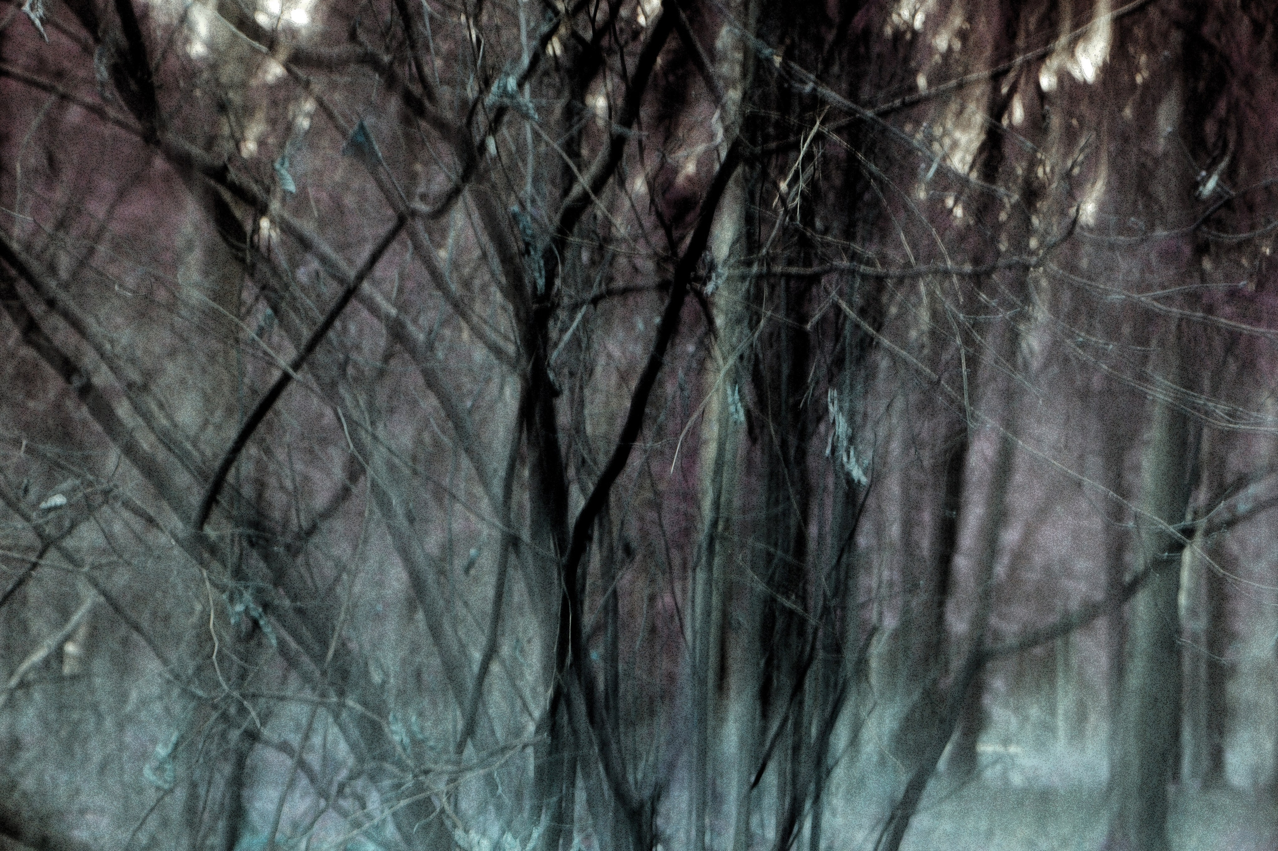 Избранное. Фотограф в Москве, в Самаре Инна Мамонова