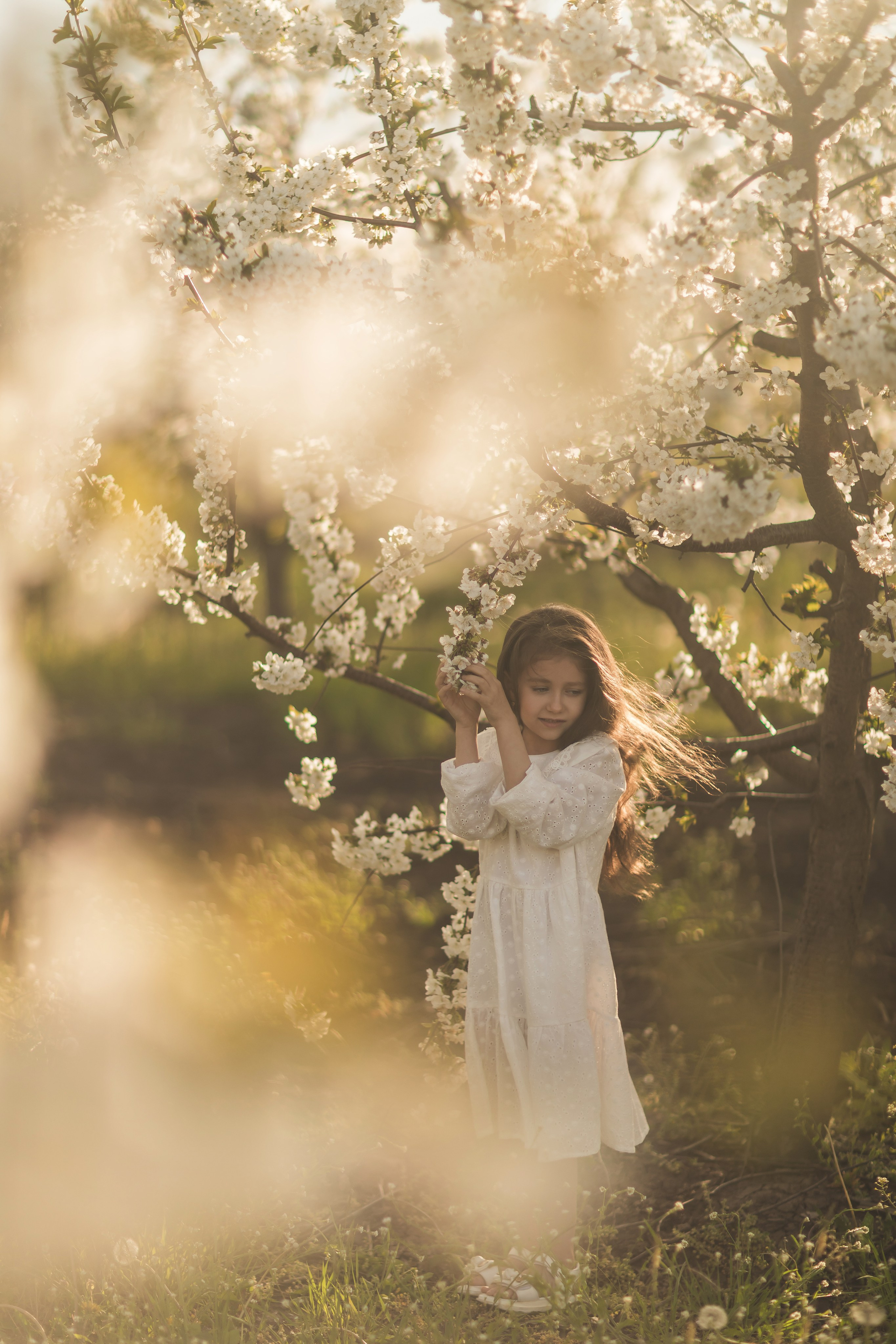 Вишневый сад. Семейный и детский фотограф Краснодар Валерия Власенко