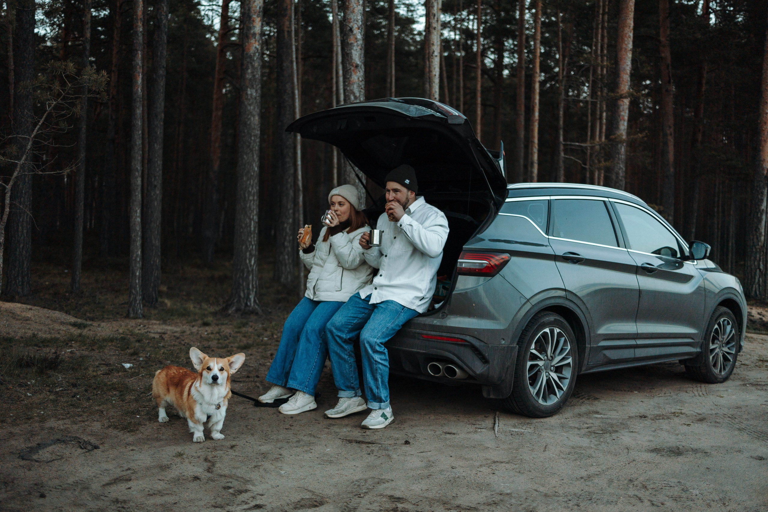 Найт и его семья. Фотограф — Анималист | Санкт-Петербург