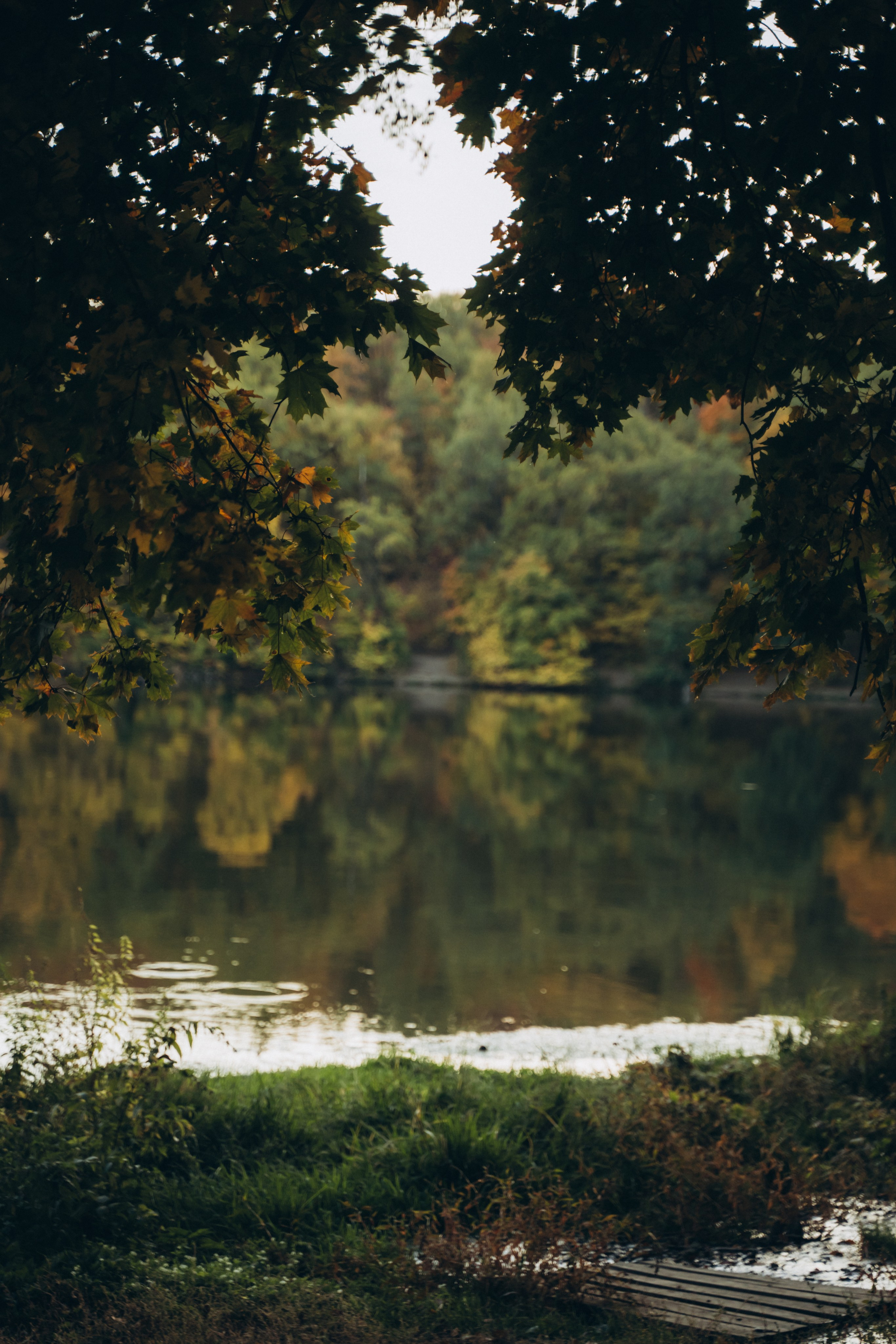 Прогулка. Локация — п/о Ударник. Семейный фотограф в Саратове