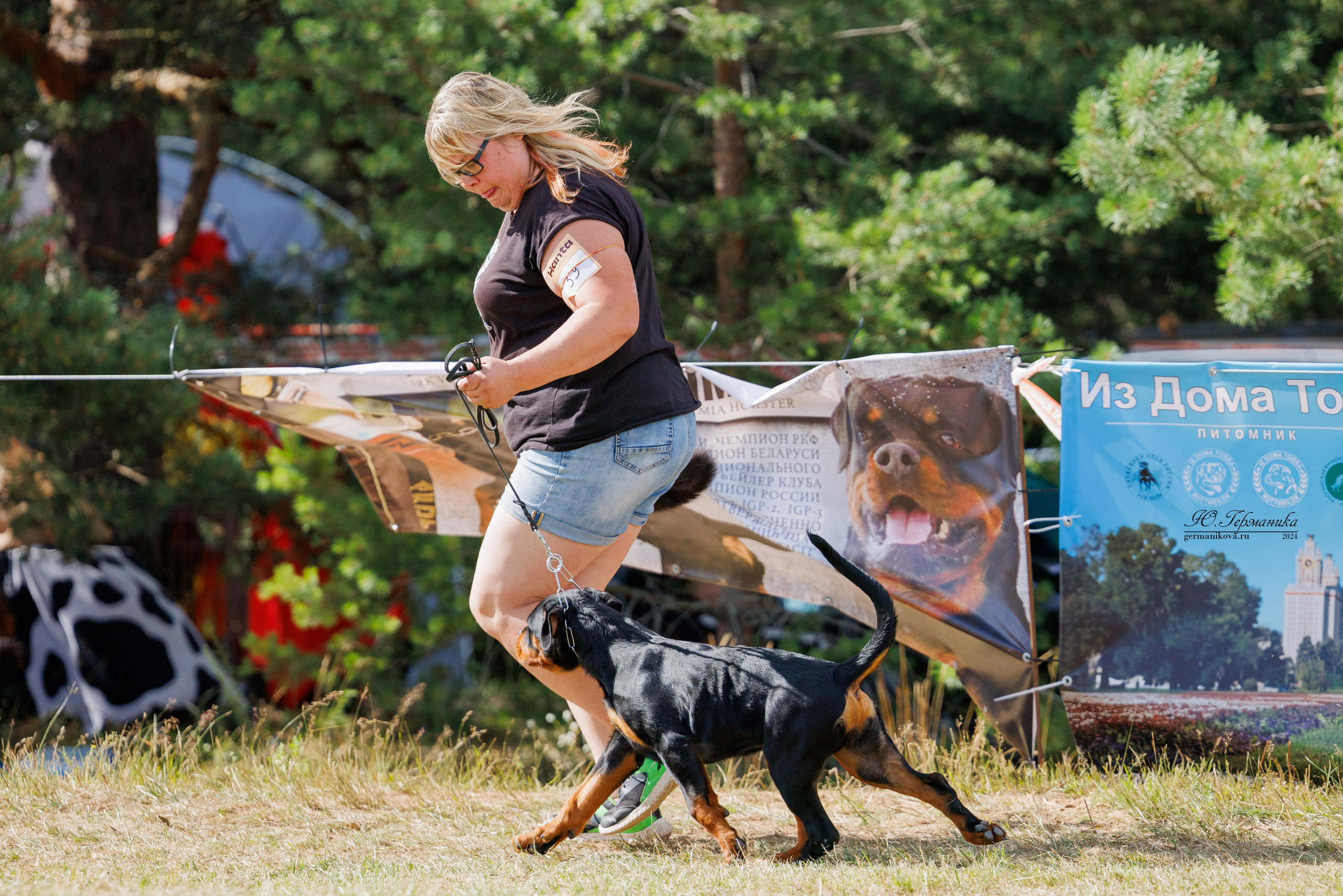 ПК и КЧК ротвейлеры Тверь 6-7.07.2024. Фотограф-анималист Юлия Германика