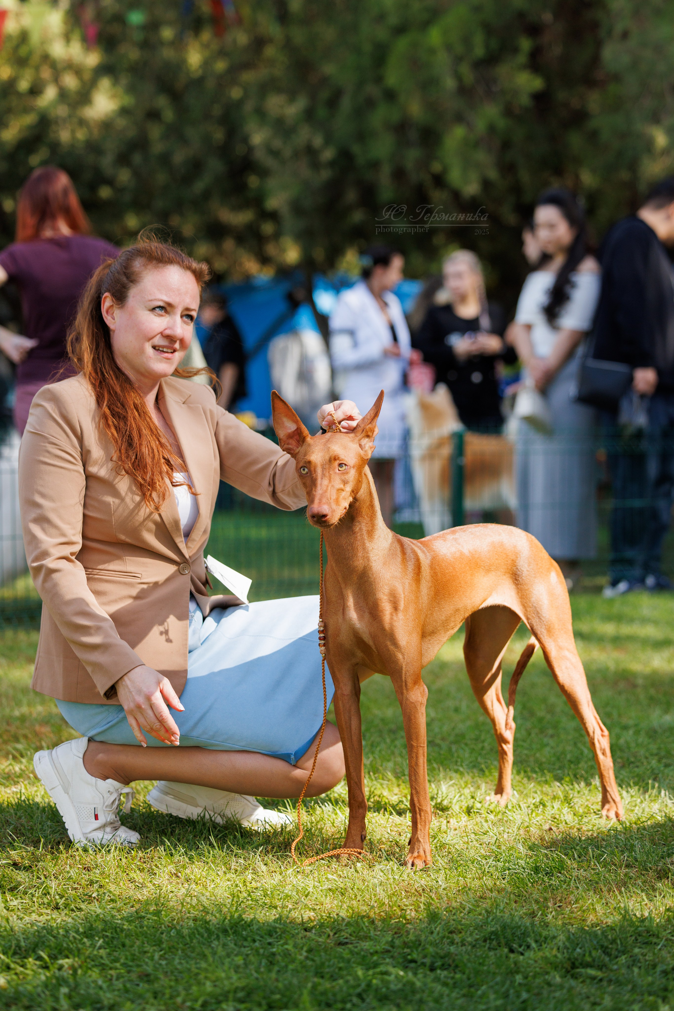 Бишкек 3х CACIB 26-28.09.2025. Фотограф-анималист Юлия Германика