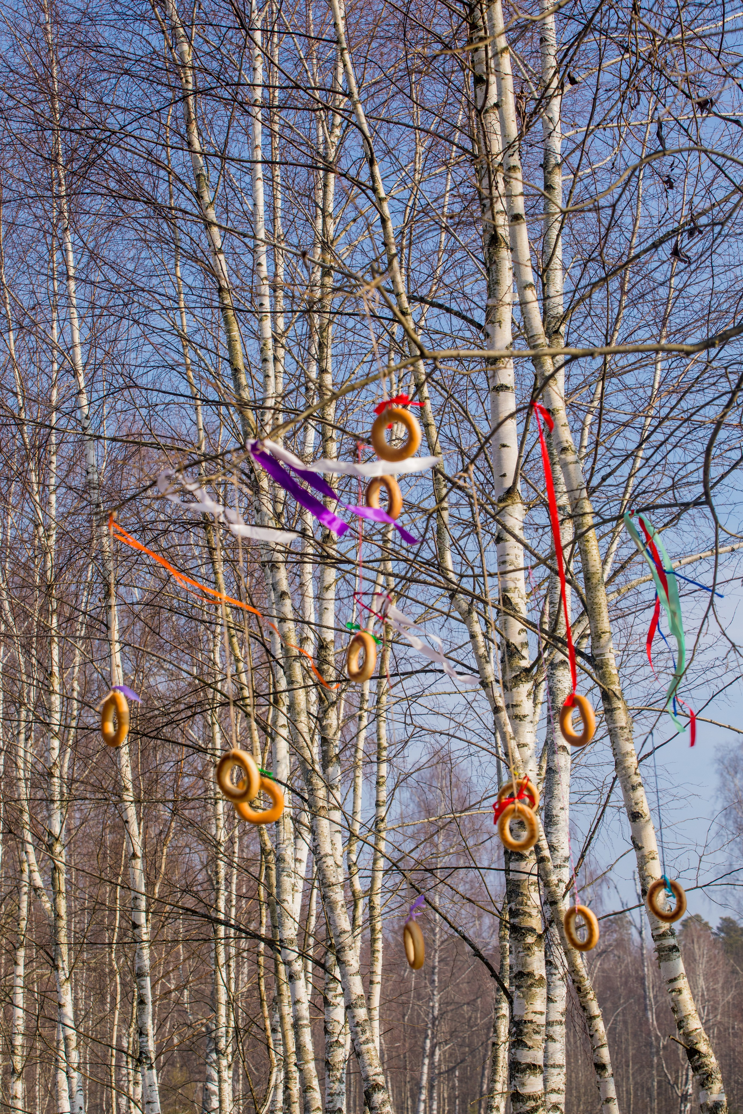 Масленица «КОЗЫ ДА БЕРЕЗЫ». Репортажный фотограф Елена Джаз в Москва