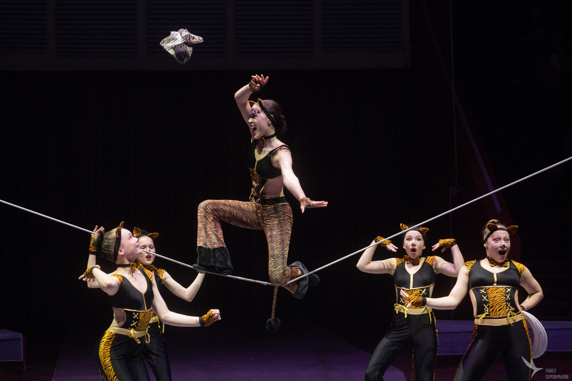 Гала-представление ЭВОЛЮЦИОНЕРЫ. Репортажный фотограф в Казани Павел Серпокрылов