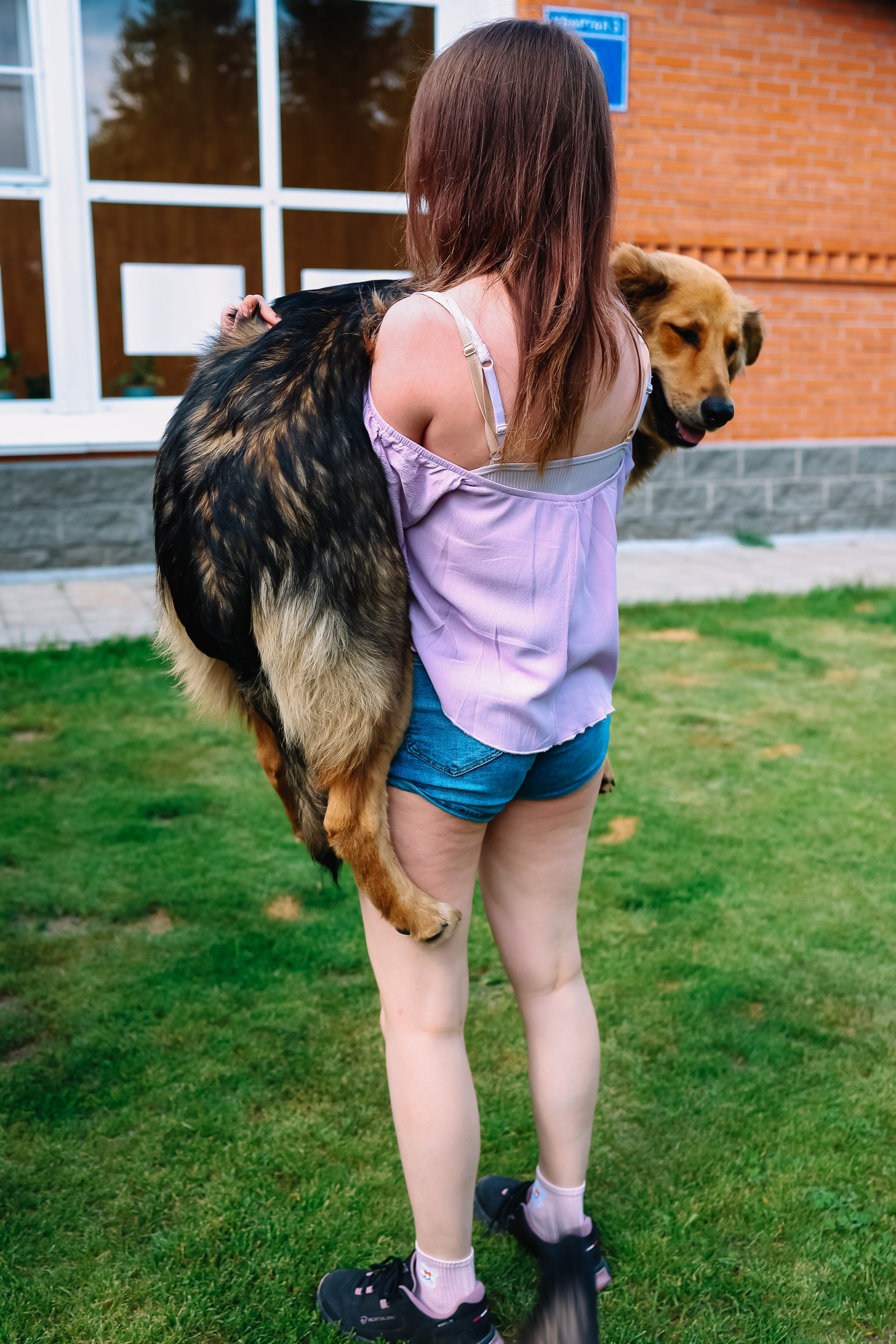 алёна малахова фотограф новосибирск семейный детский домашняя фотосессия в новосибирске день рождения репортажная съёмка фотосессия с лошадьми на конюшне деревня алтай  на природе фотосессия в детском саду мама и сын предложение руки и сердца идея  помолвка фотосессия берег закат детский день рождения годик торт аниматор лофт игровая продолжение следует prodoljenie_sleduet_