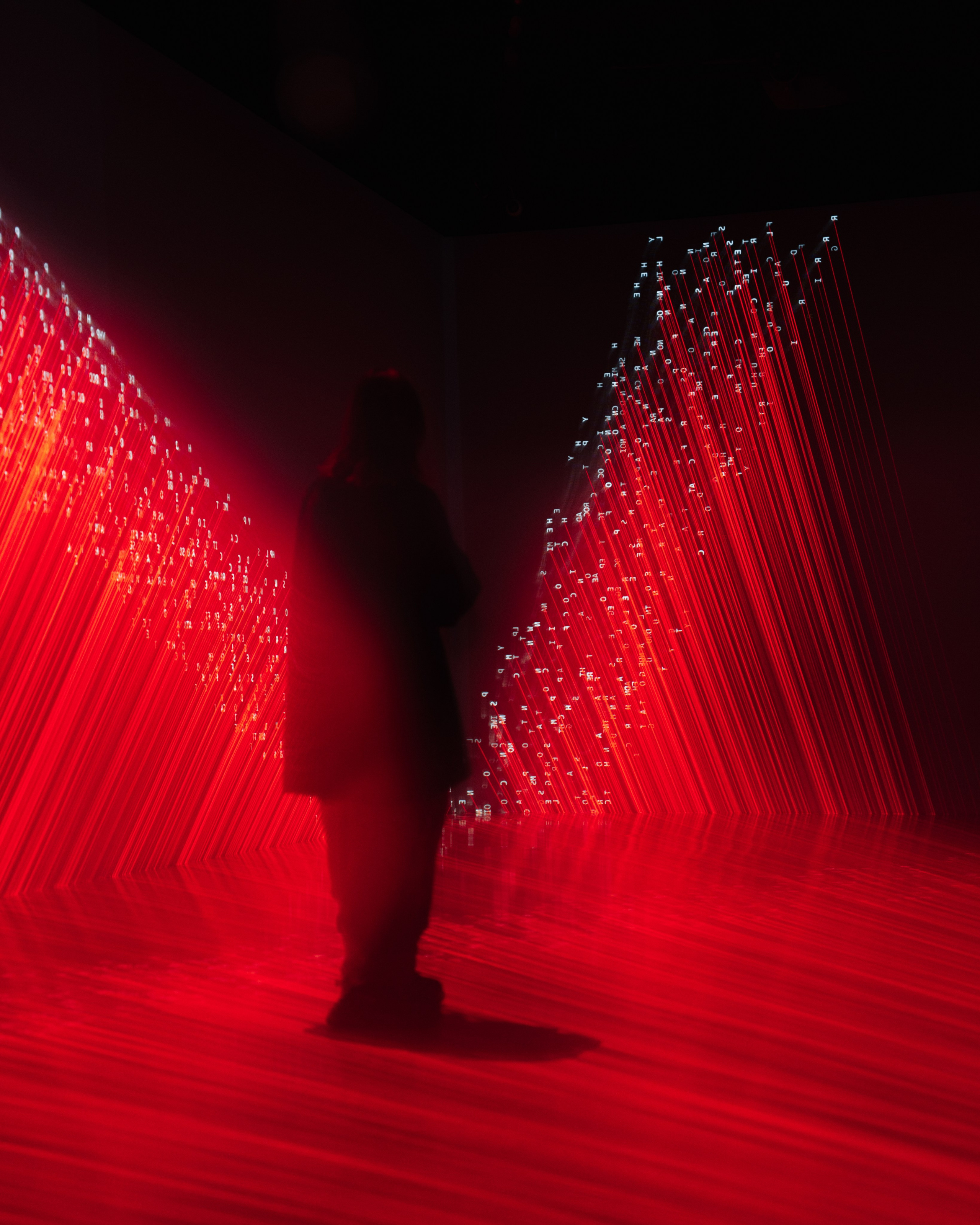 Generative Gallery & Luminar X, Making Magic. @tomrus: Рустам Шагиморданов — фотограф